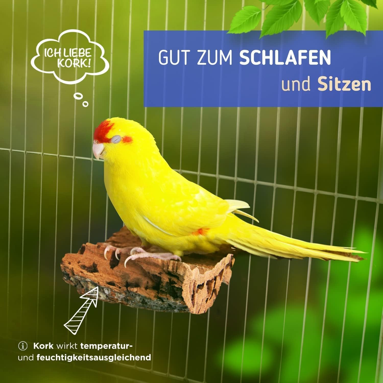 Detalle de Vogelgaleria 2 x Kork-Pickstein – Natürliche Krallen- und Schnabelpflege für Vögel