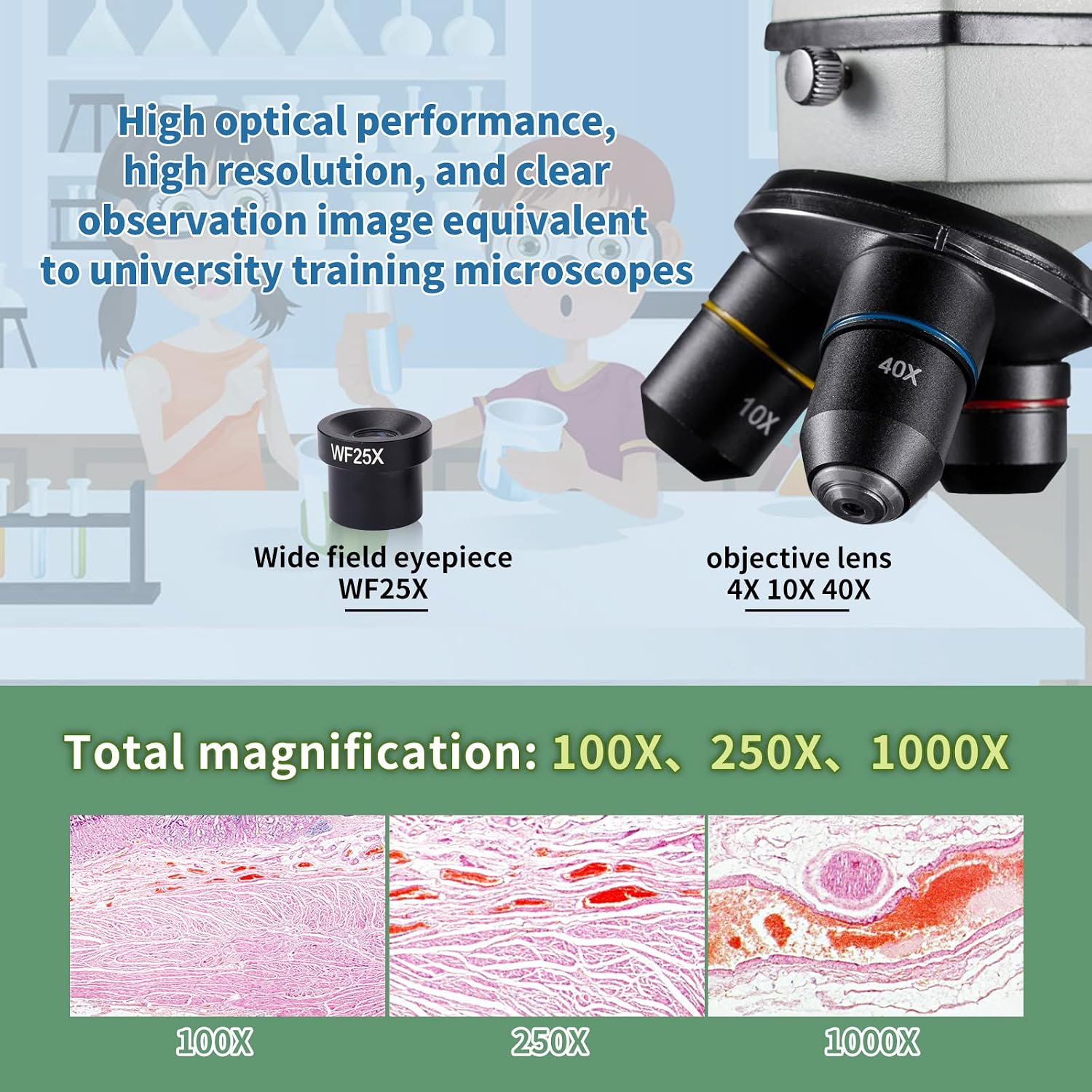 Thumbnail 4 de Microscope monoculaire 100-1000x pour école 🔬