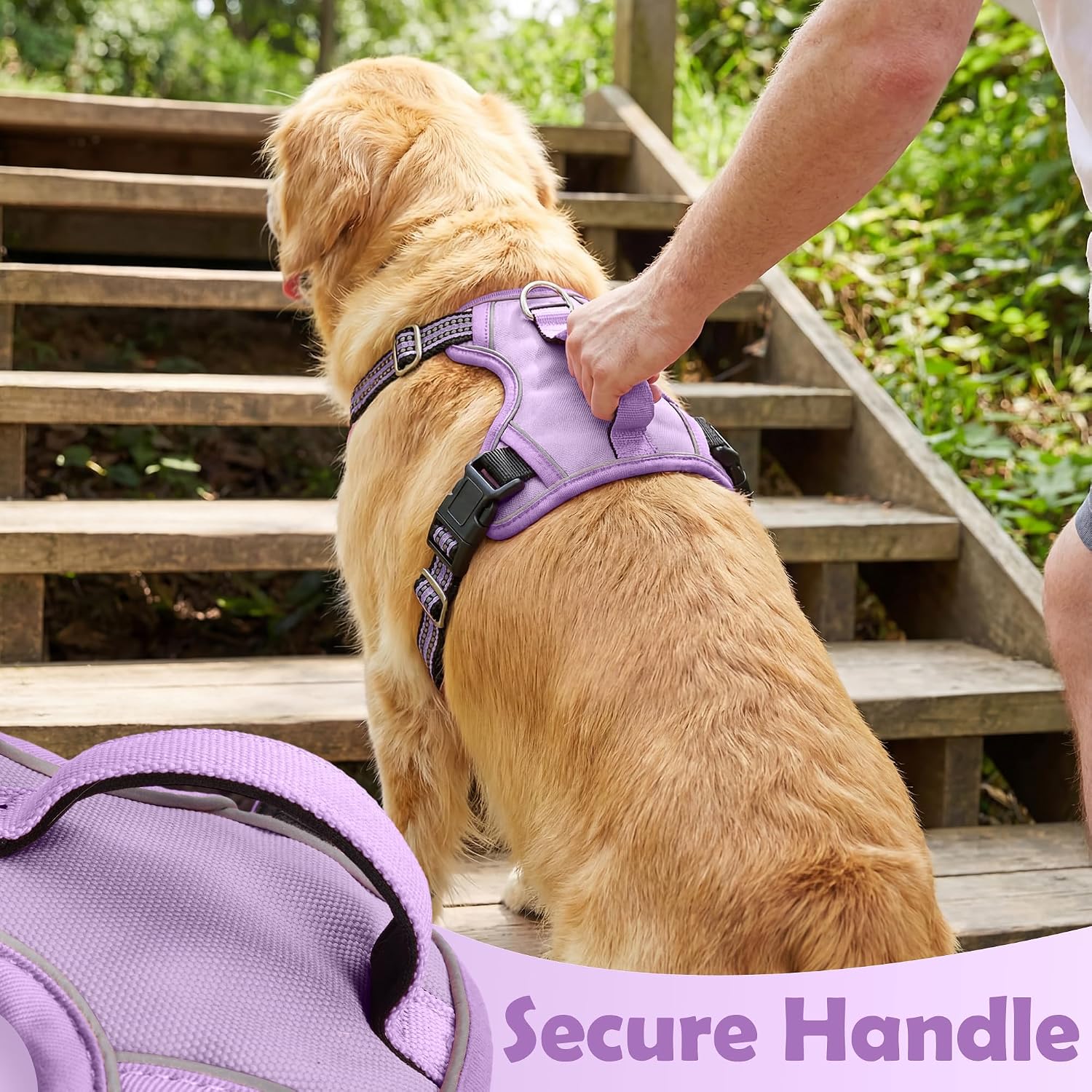 Detalle de Funfox Dog Harness Medium (Purple M) No Pull Harness with Front Clip & Vertical Handle