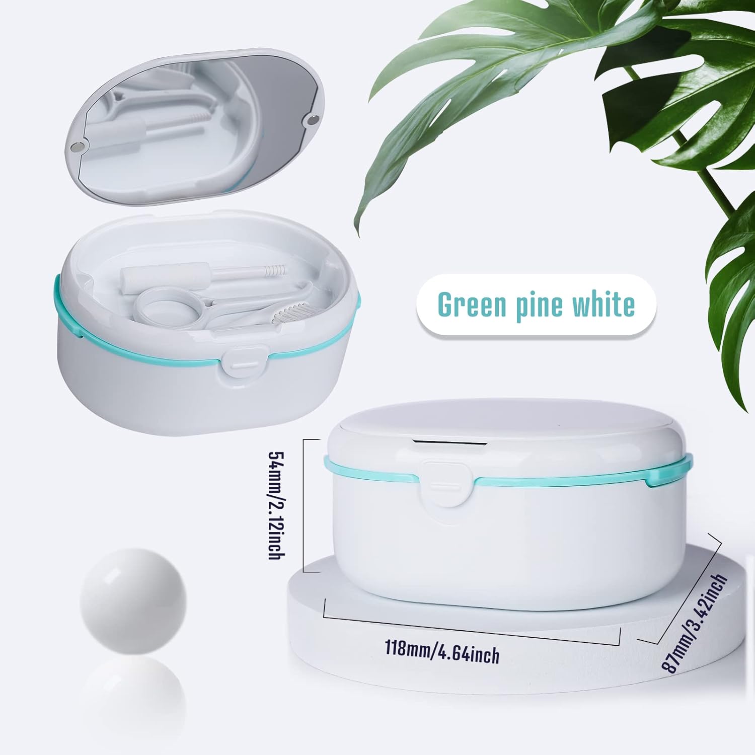 Detalle 2 de Prothesendose Zahnprothesen Box 11,8×8,7×5,4cm