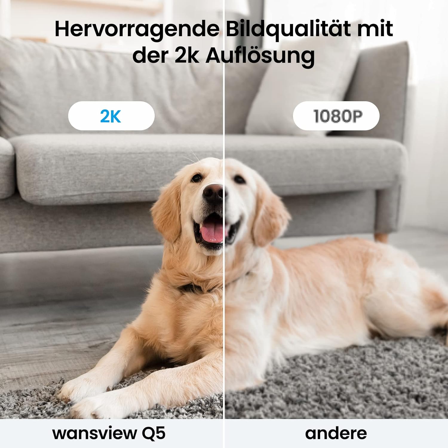 Detalle de Wansview 2K Hundekamera mit App – Innenüberwachung für Haustiere, 2,4 GHz WLAN, Nachtsicht, Bewegungserkennung