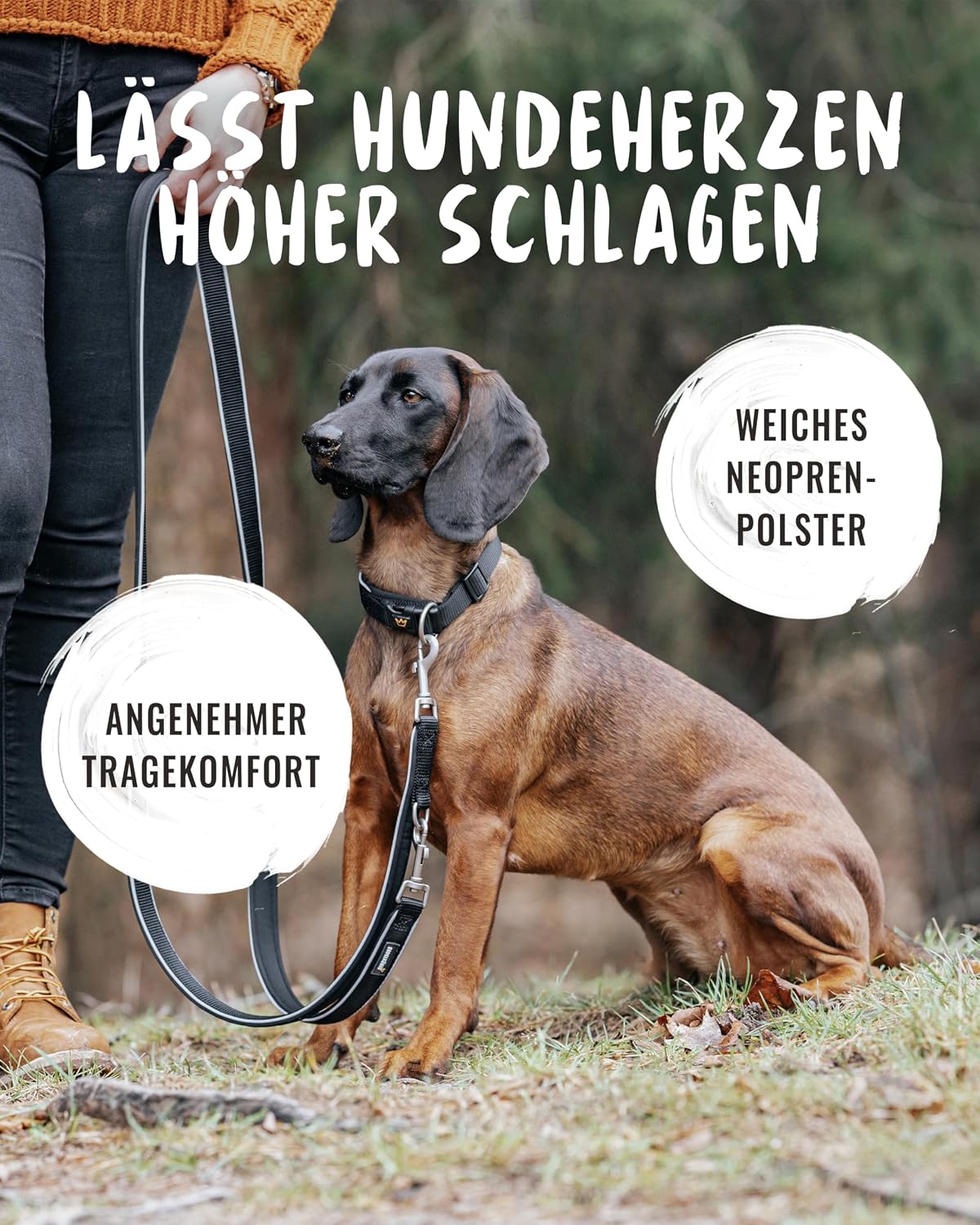 Thumbnail 4 de Rudelkönig Hundehalsband Paola verstellbar