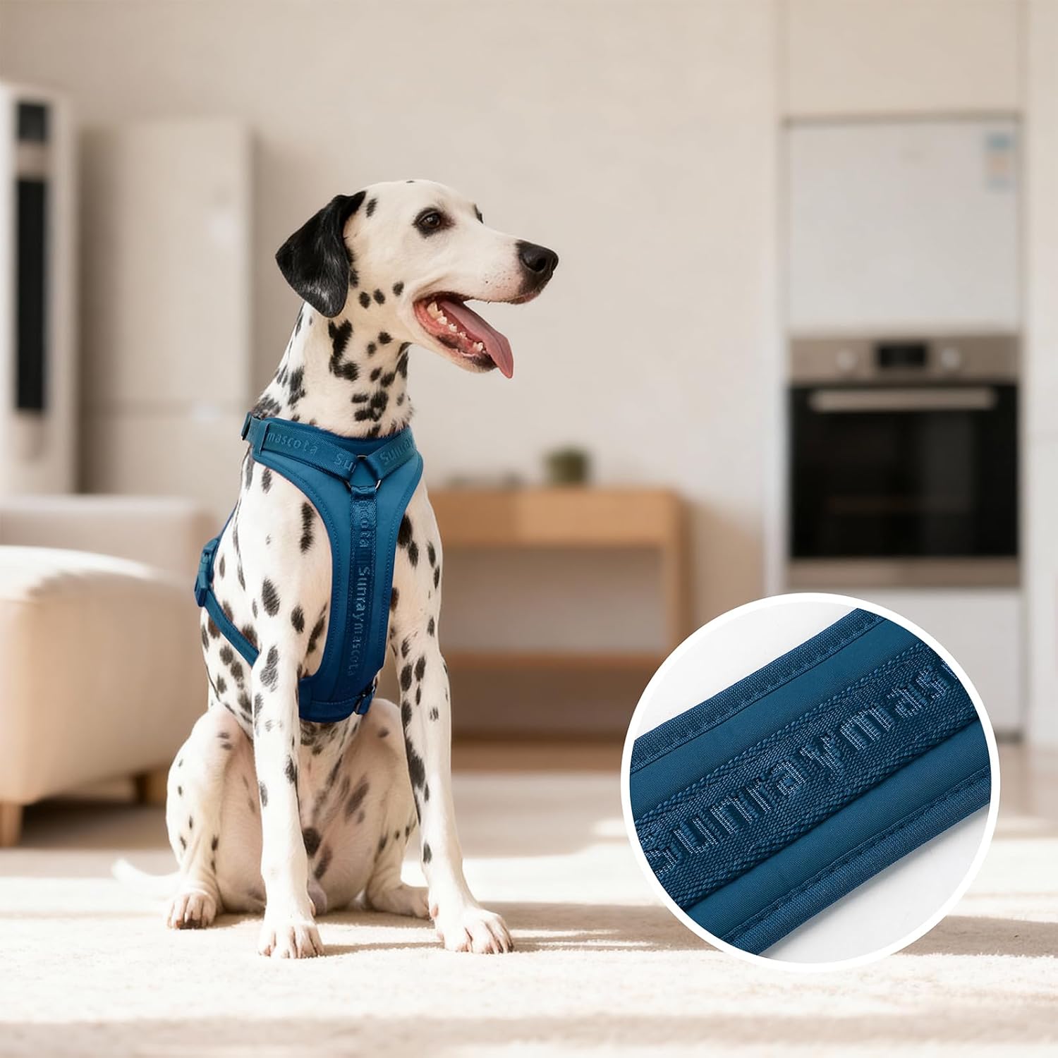 Thumbnail 4 de Sunraymascota Hundegeschirr mit weicher Lycra-Polsterung und Mesh-Komfort (Preußisch Blau, XS)