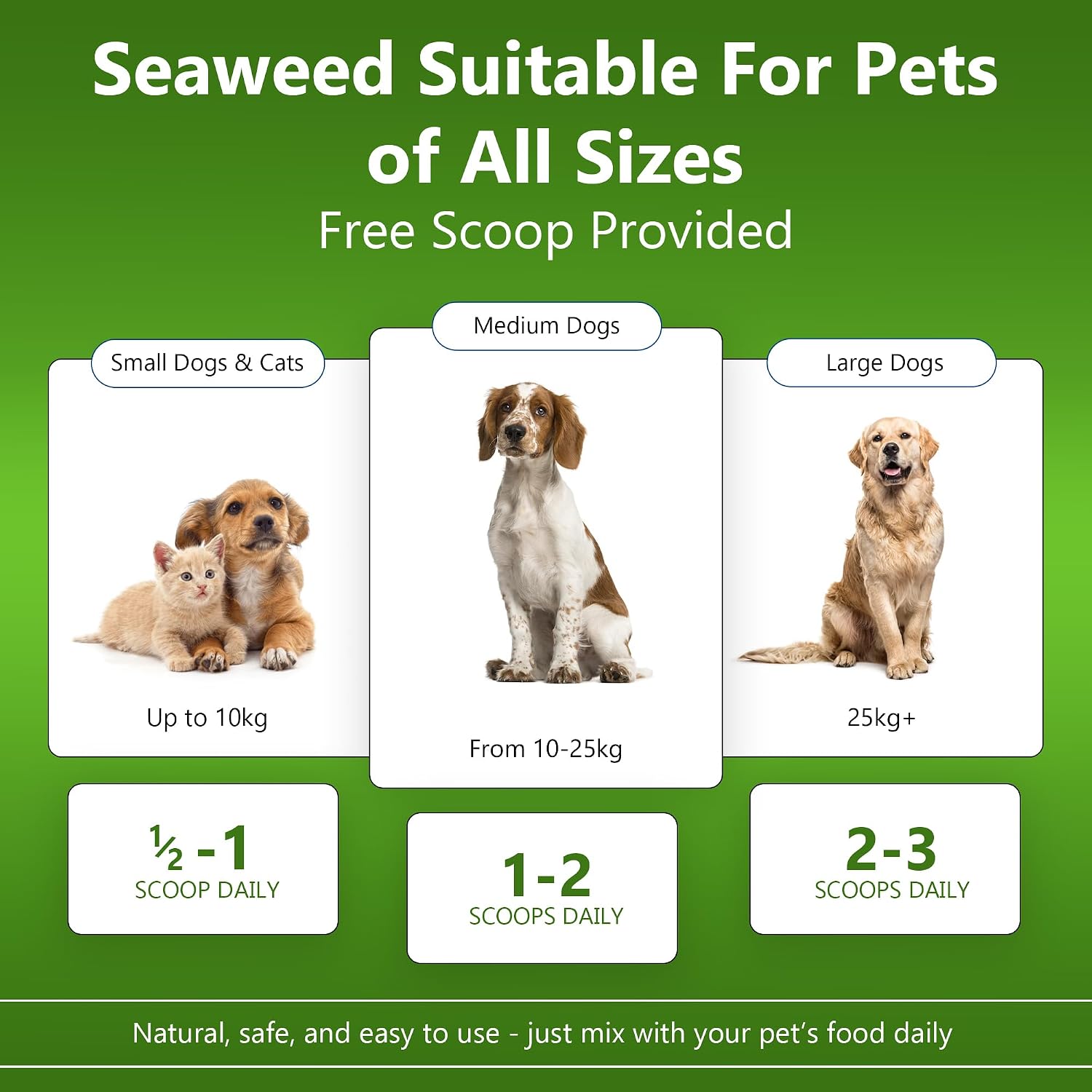 Detalle de Plaque Out 450g Pouch: 100% Natural Seaweed Dental Powder for Dogs & Cats