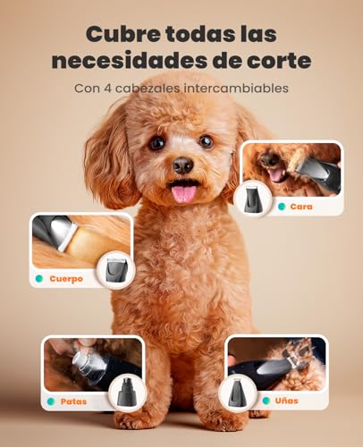 Detalle 2 de oneisall Cortapelos silencioso 4 en 1 para perros y gatos con luz LED (Azul) – Aseo completo y suave