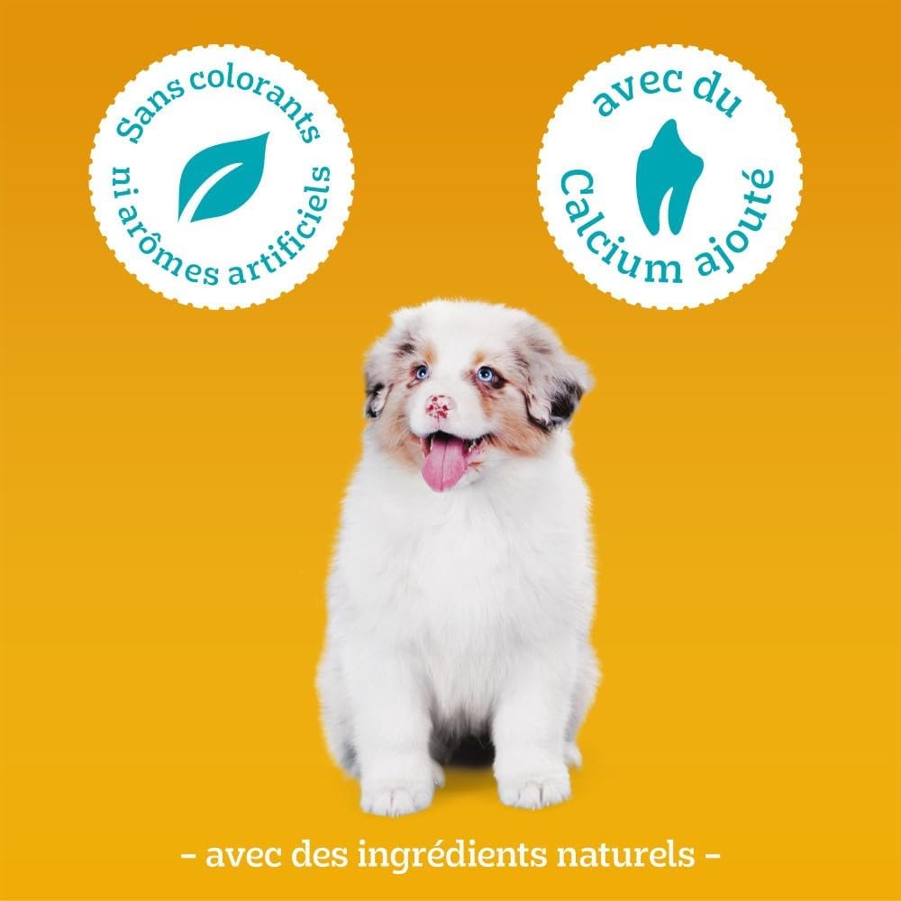 Thumbnail 6 de PEDIGREE Recompense Tasty MINIS Junior au Poulet – Pack 6 x 125 g
