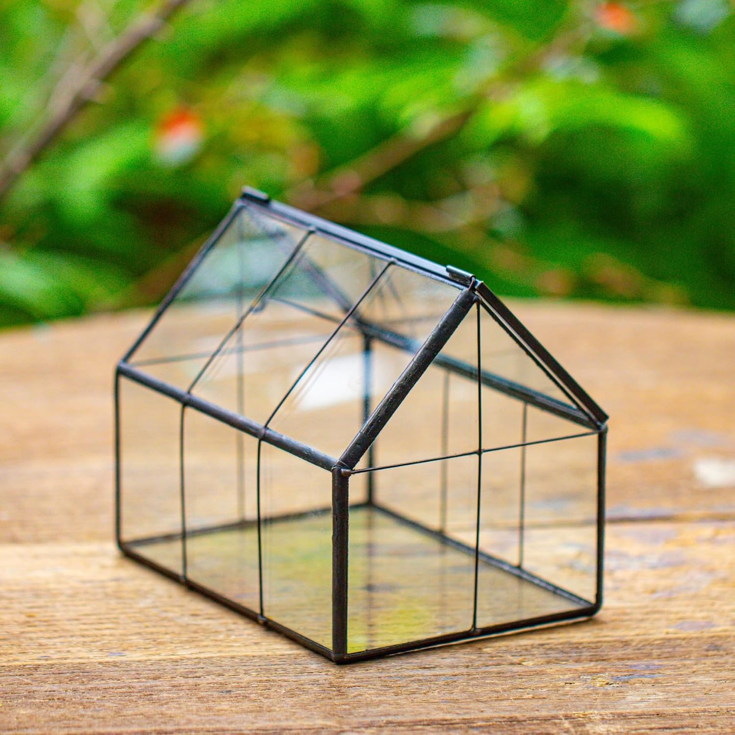Detalle 2 de NCYP mini glass terrarium, 15.5 cm