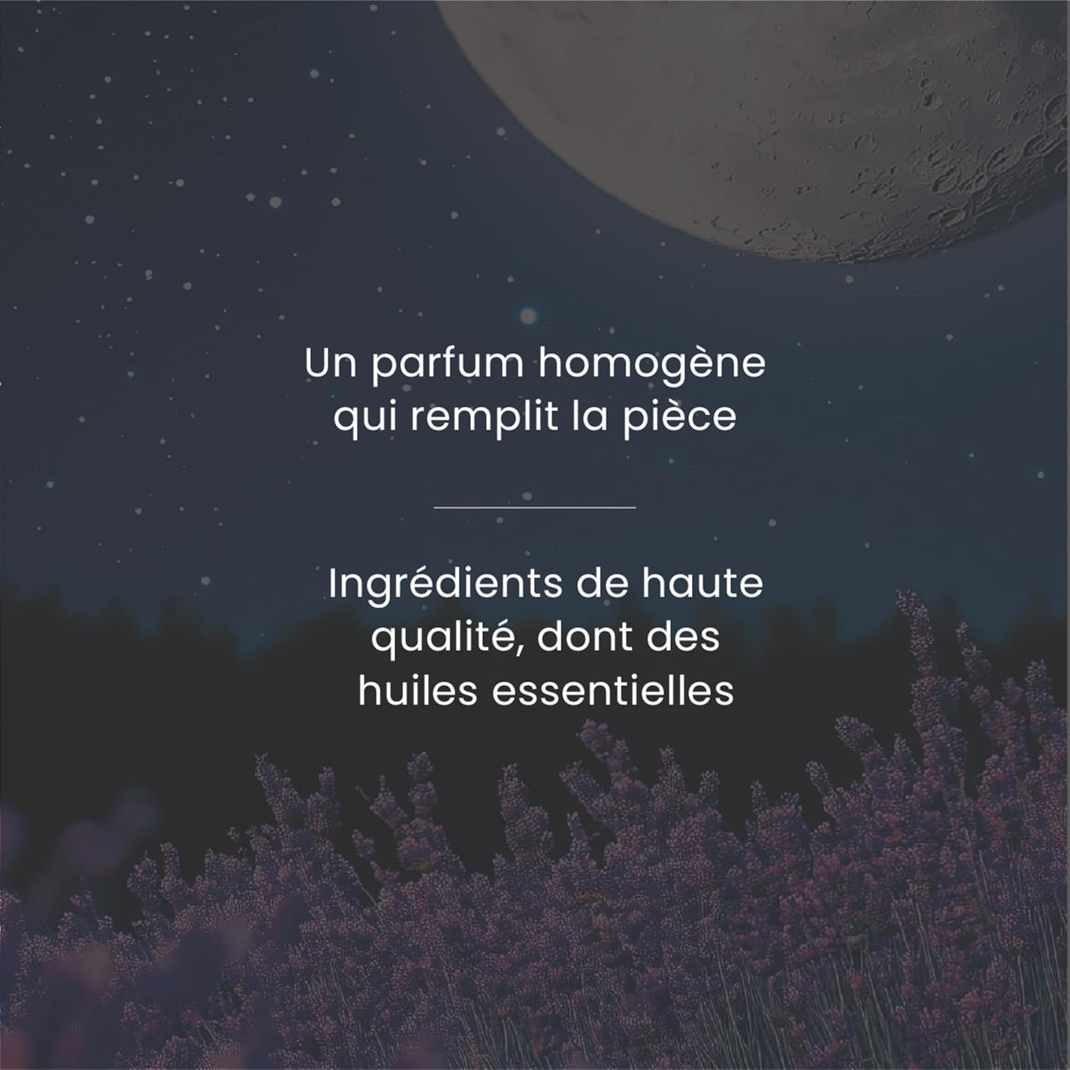 Detalle de Yankee Candle Diffuseur à bâtonnets Nuit de Midsummer — parfum durable pour petits à moyens espaces