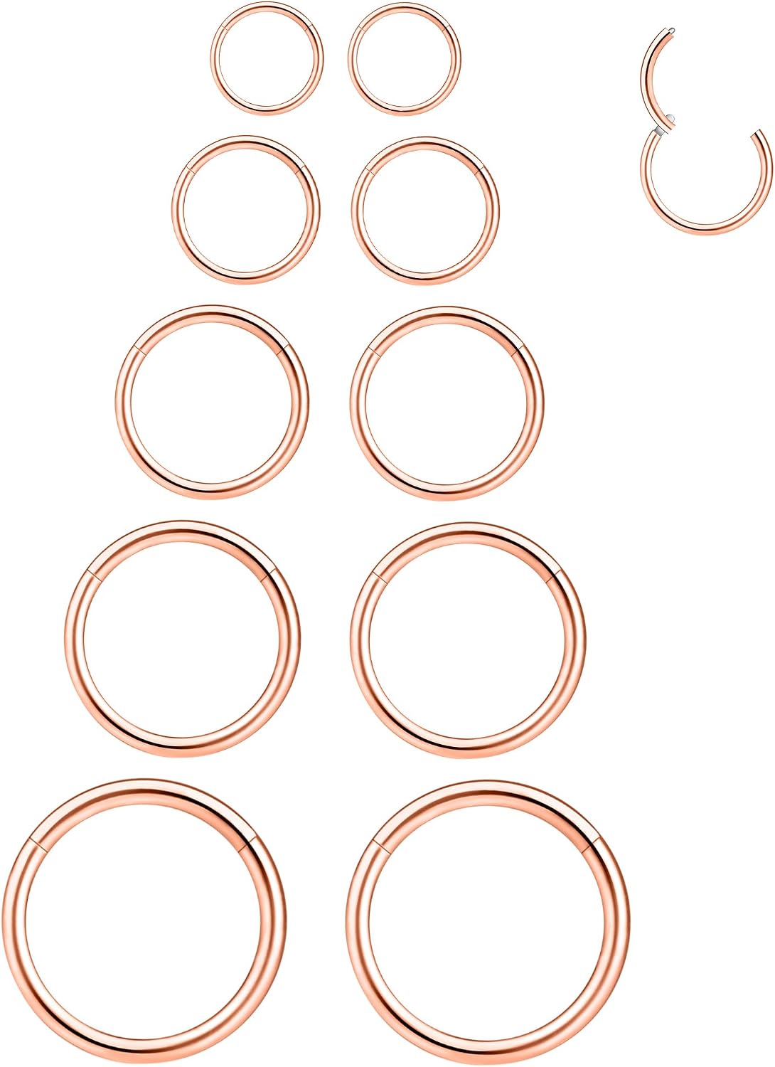 Detalle de LEE&RO Hinged Clicker Septum Rings 16G