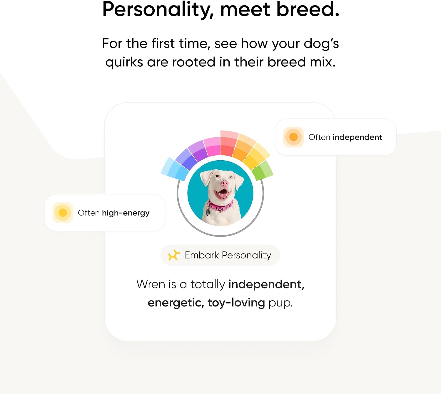 Thumbnail 4 de Embark Breed Identification Kit 99% accuracy