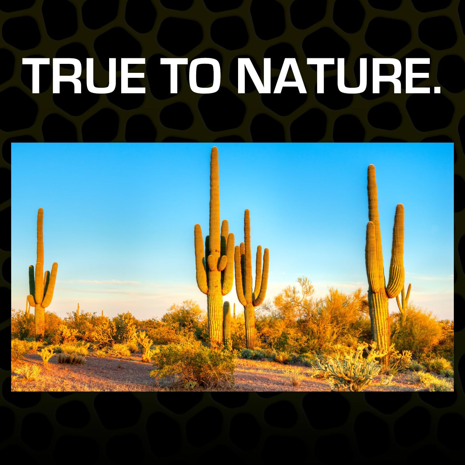 Thumbnail 1 de Exo Terra Desert Sand 4.5 Kg reptile substrate 🐍