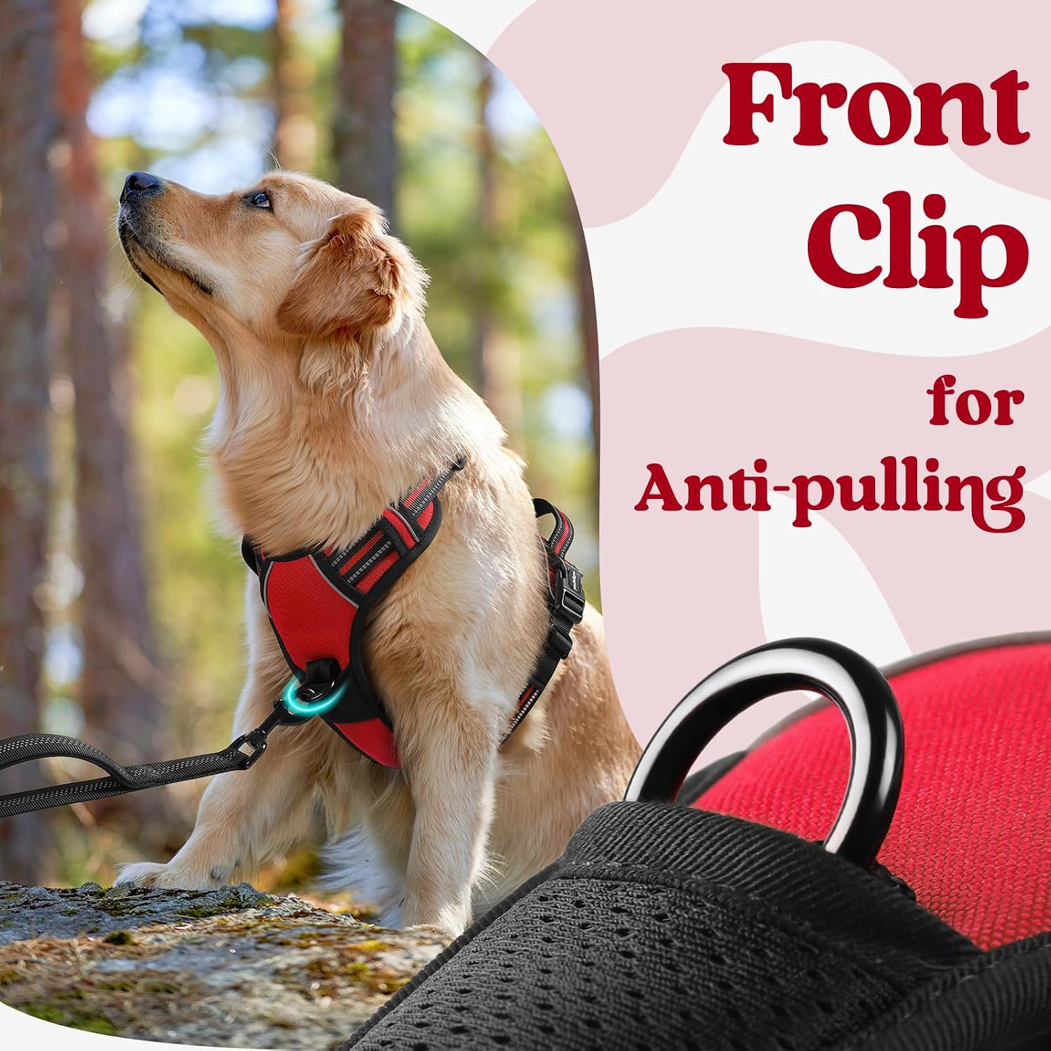 Thumbnail 6 de rabbitgoo Dog Harness Medium Neck Release