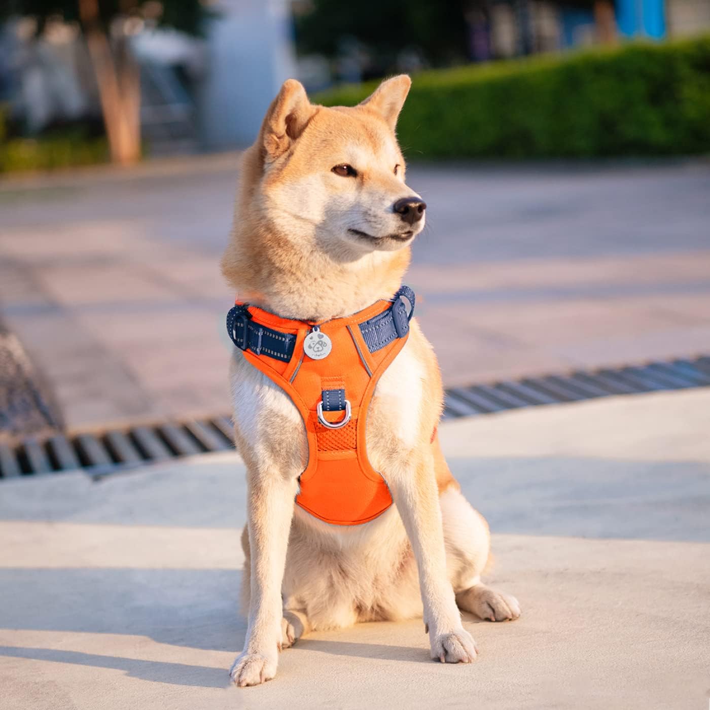 Thumbnail 6 de PHOEPET No Pull Dog Harness with Escape Proof Design – Front & Back D‑Rings, Reflective, Adjustable (Orange Base & Blue Straps) – Size L