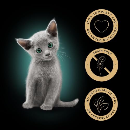 Detalle de Sheba Sauce Collection Kitten Pouches in Gravy – 40 x 85g