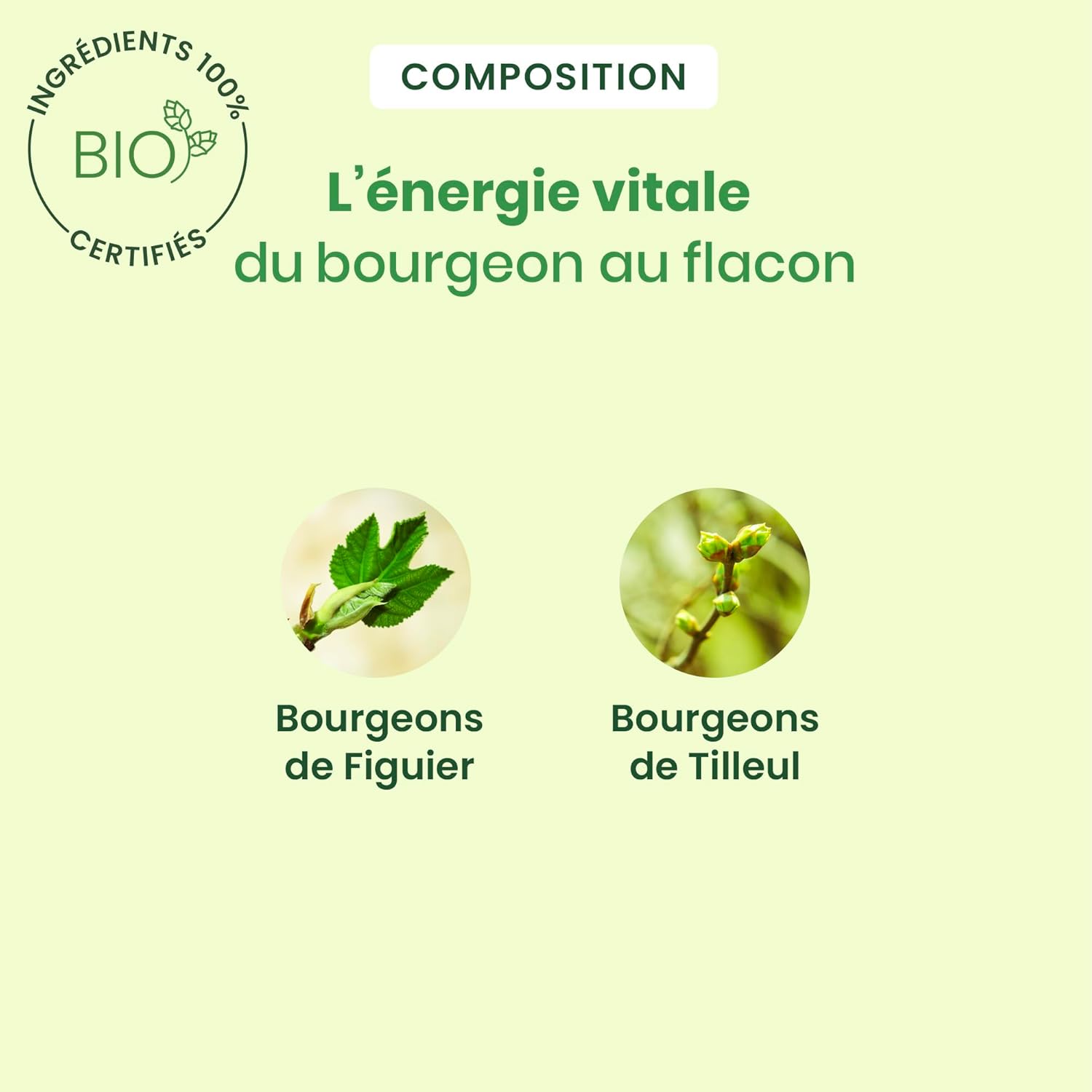 Thumbnail 2 de HerbalGem Noctigem Bio Tilleul et Figuier – Gemmothérapie Concentrée 30 ml