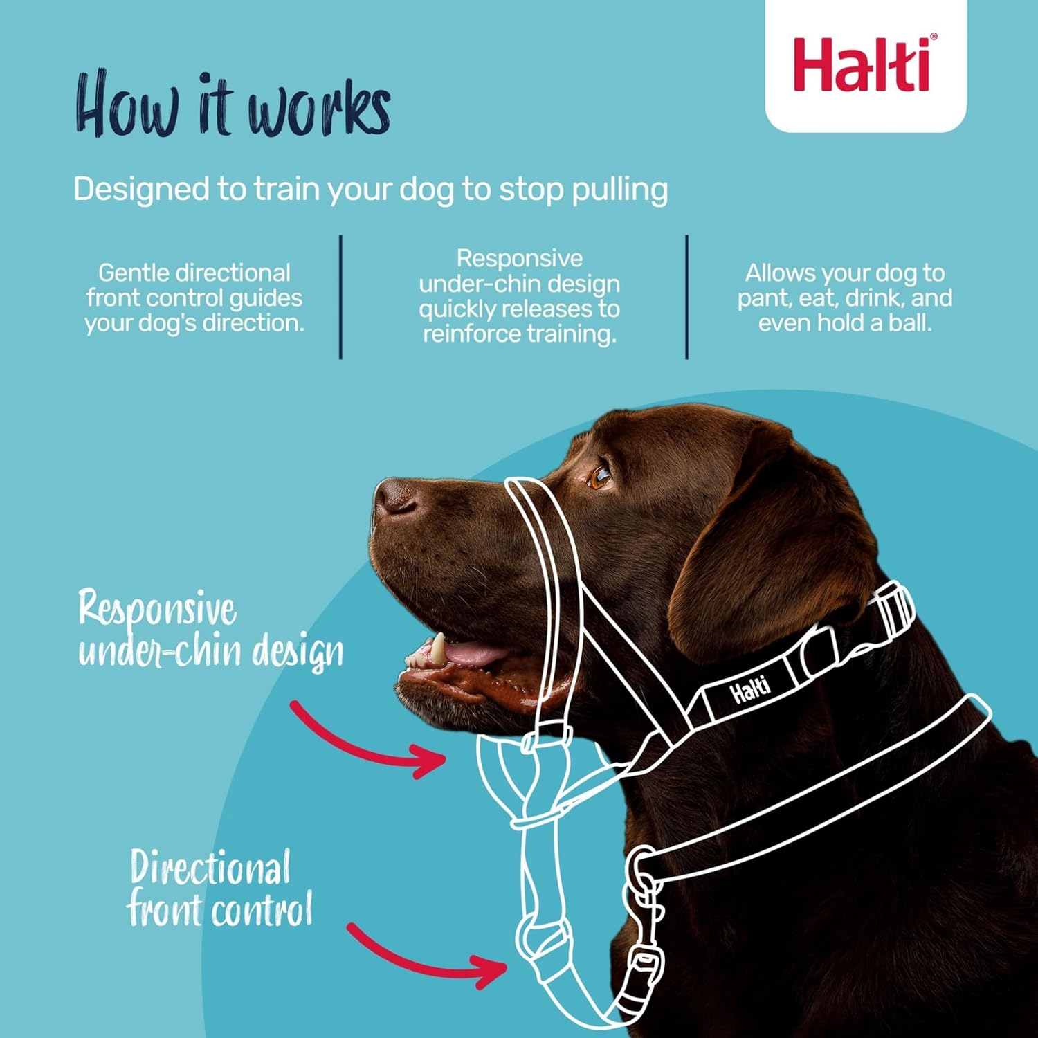 Detalle 2 de Halti Halfter Hundetraining Halsband Größe 2 Rot