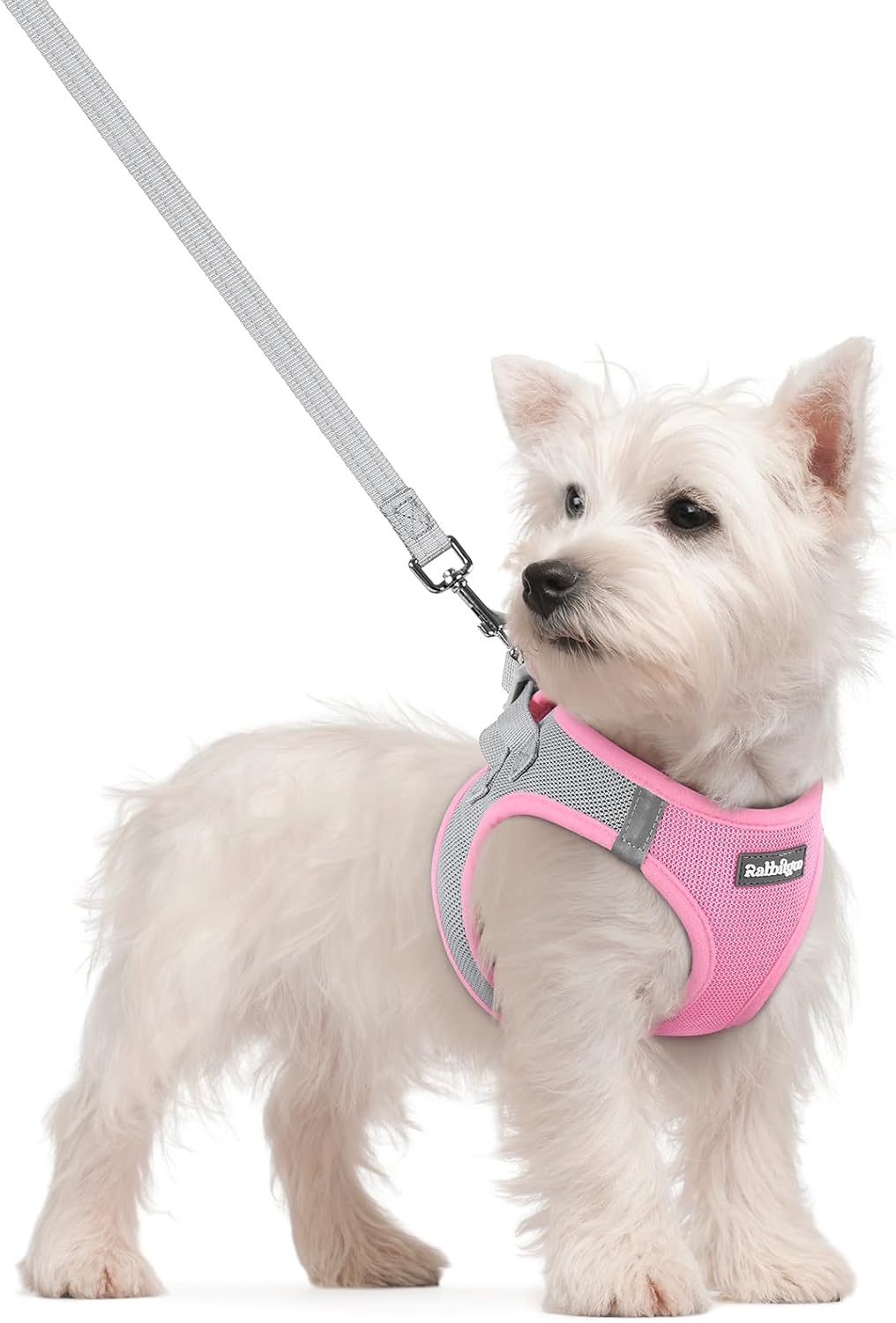 Detalle de rabbitgoo Hundegeschirr Kleine Hunde mit Leine, Step-in Welpengeschirr aus Air-Mesh, Reflektierend, Rosa & Hellgrau, Größe S