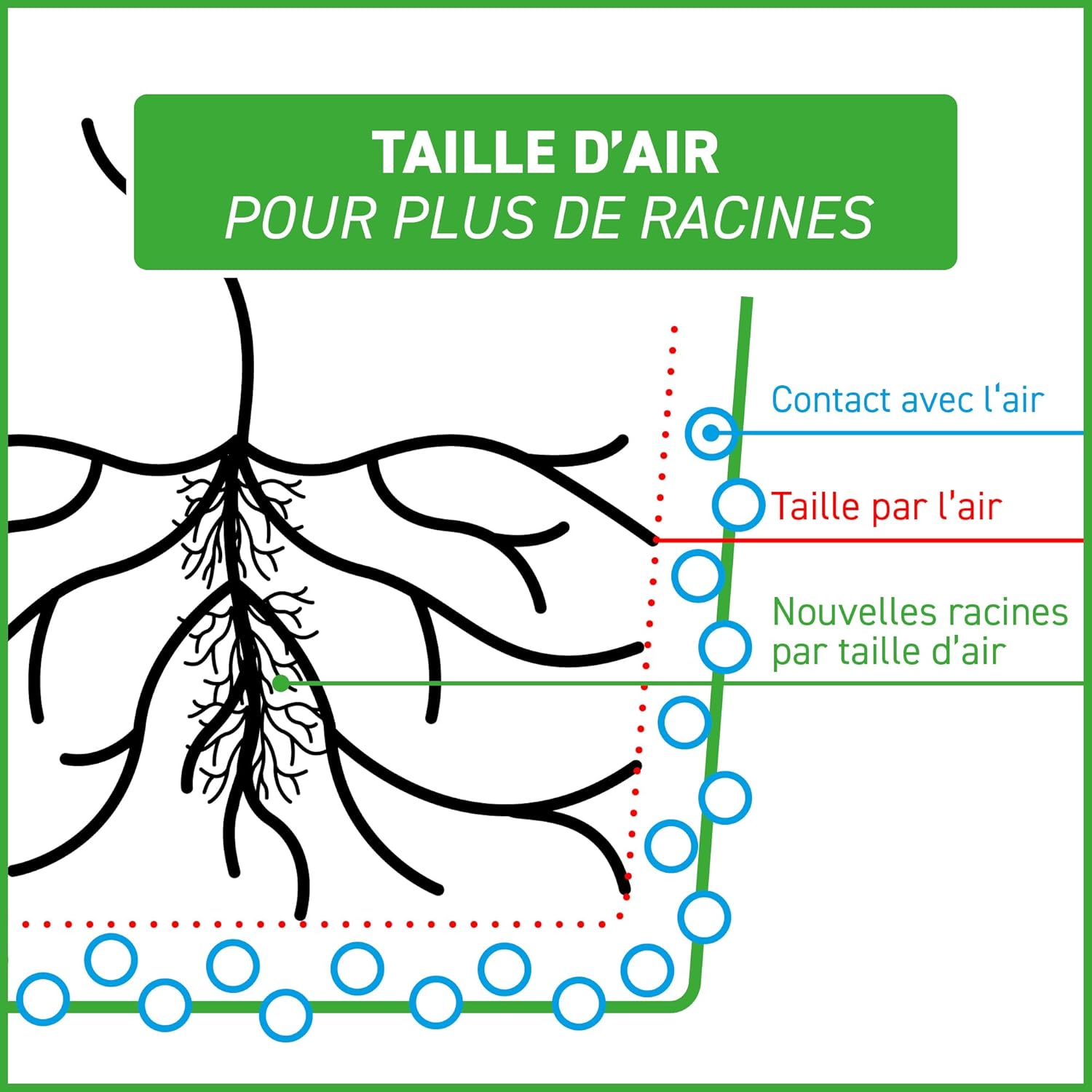 Thumbnail 6 de GardenMate lot de 6 sacs à plantes 30 L en non tissé GREENLINE, Ø 35,6 cm, 30,5 cm (noir/vert)