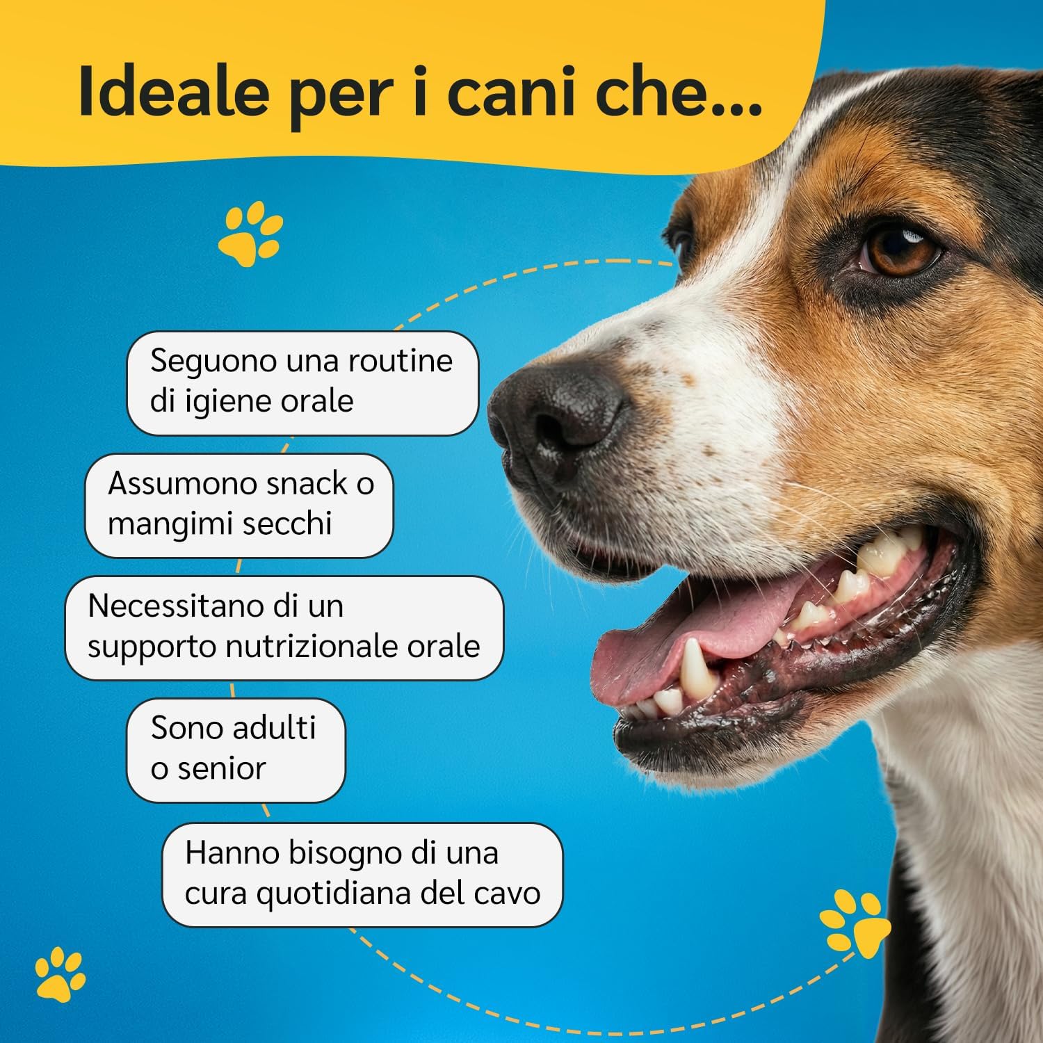 Thumbnail 2 de amusi Dentifricio per cani in polvere 60 g con Ascophyllum nodosum e menta