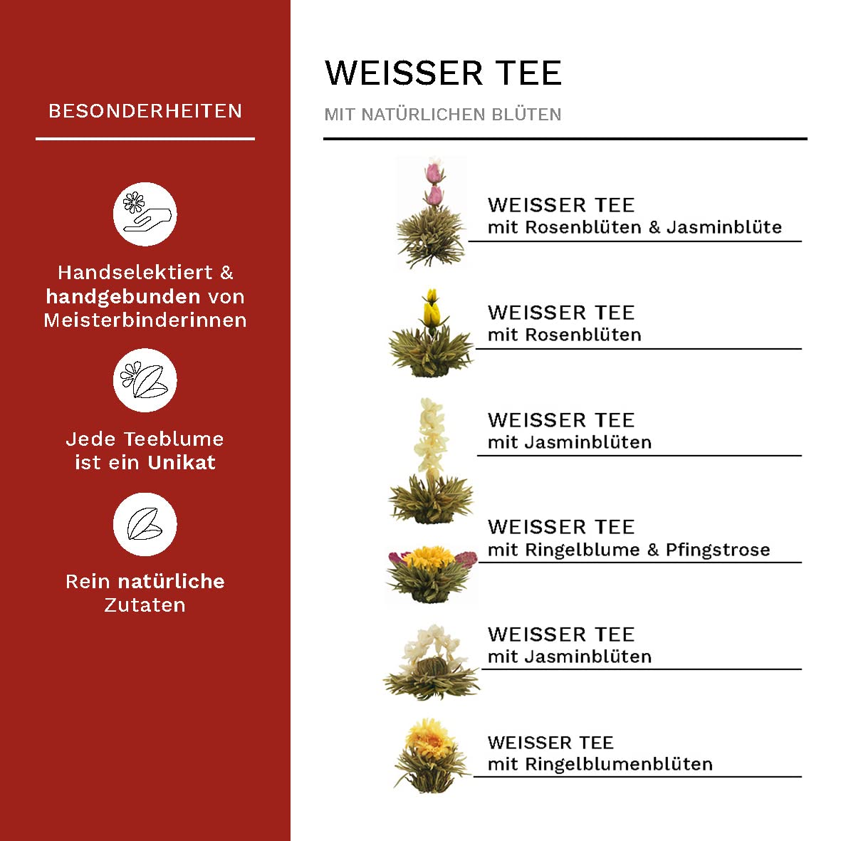 Thumbnail 3 de Creano Teeblumen 36 Teekugeln weißer Tee – Blooming Tea Großpackung