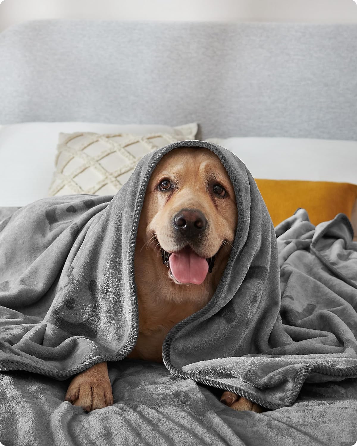 Thumbnail 2 de Feandrea Hundedecke Waschbar im 3er-Set (XXL, 203 x 152 cm) schiefergrau