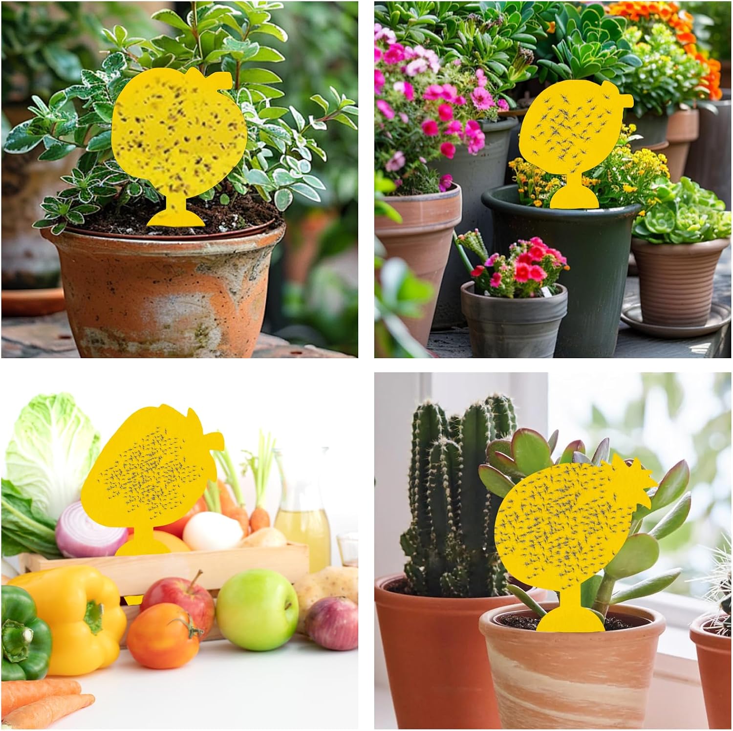Thumbnail 6 de Briteen 60-Pack Fruit-Shaped Yellow Sticky Traps for Plants, Dual-Sided