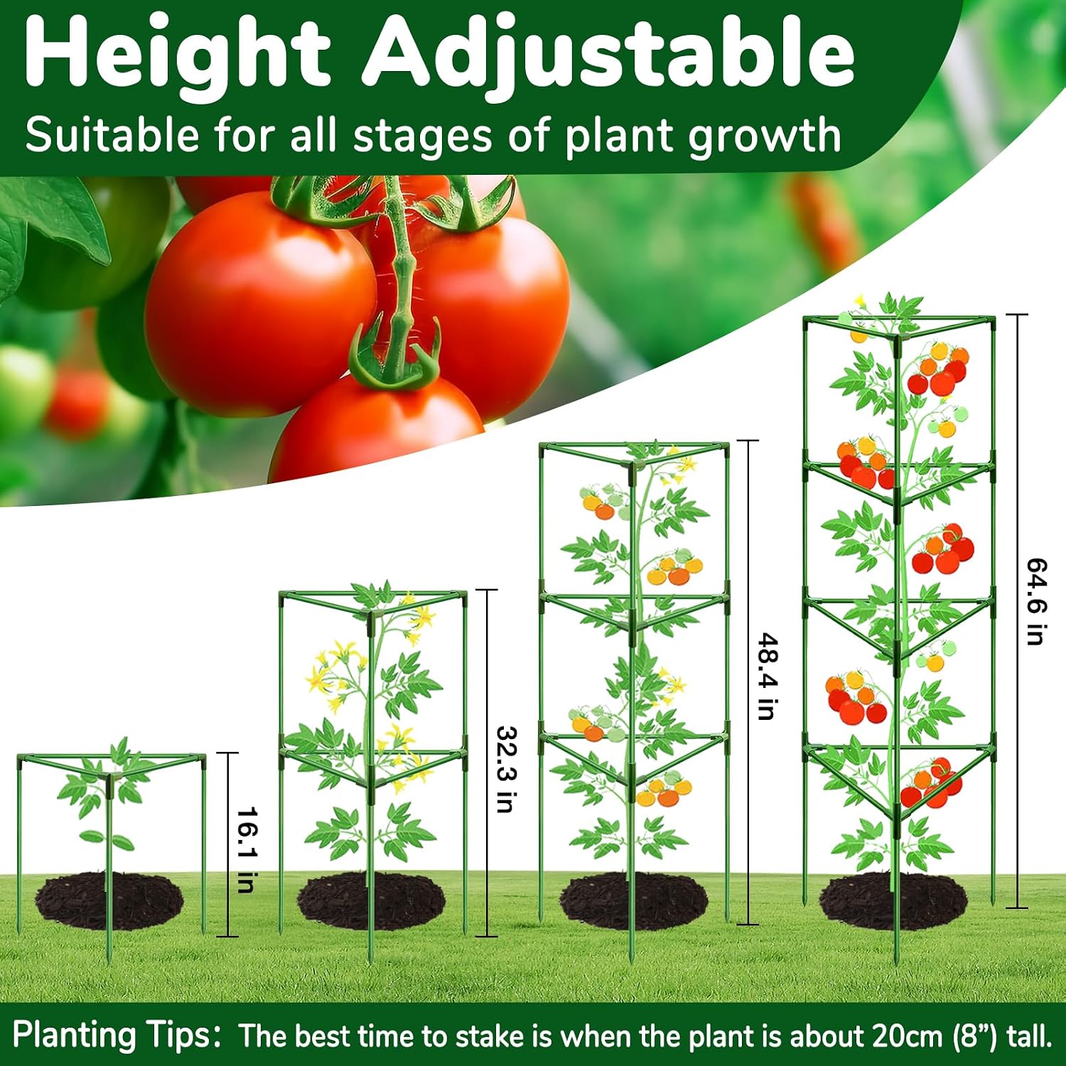 Thumbnail 6 de ZeeDix Tomato Cage Set 65-Inch