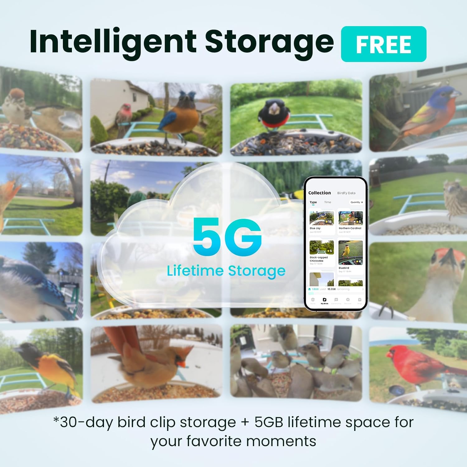 Thumbnail 2 de NETVUE by Birdfy Smart Bird Feeder with 2K HD AI Camera (Solar Powered, Wireless)