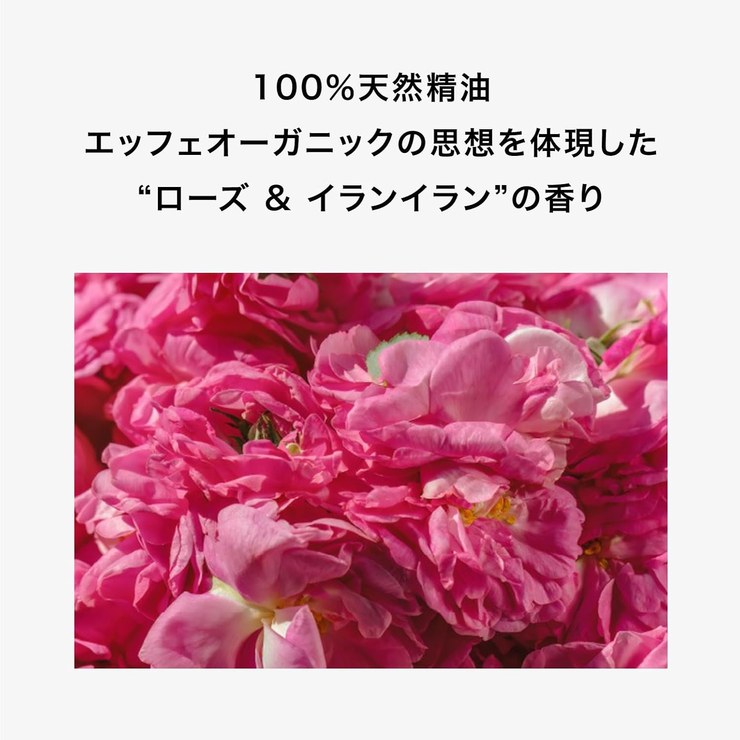 Thumbnail 5 de F organics ディープモイスチャー クリーム 40g｜濃厚な保湿感とローズ水・メドウフォームオイル配合