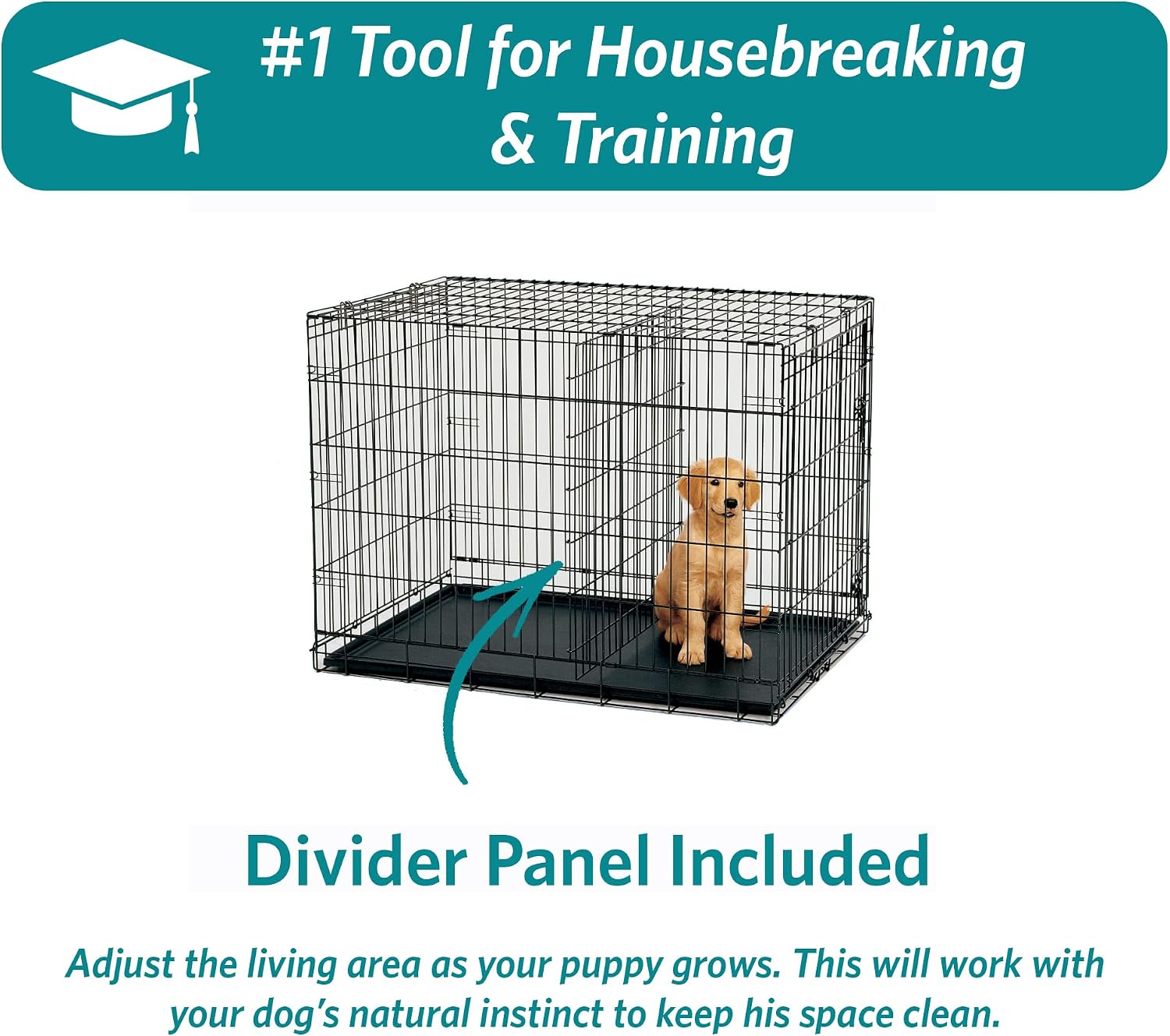 Thumbnail 6 de MidWest Homes for Pets 24-Inch iCrate Folding Dog Crate with Divider for Small Breeds