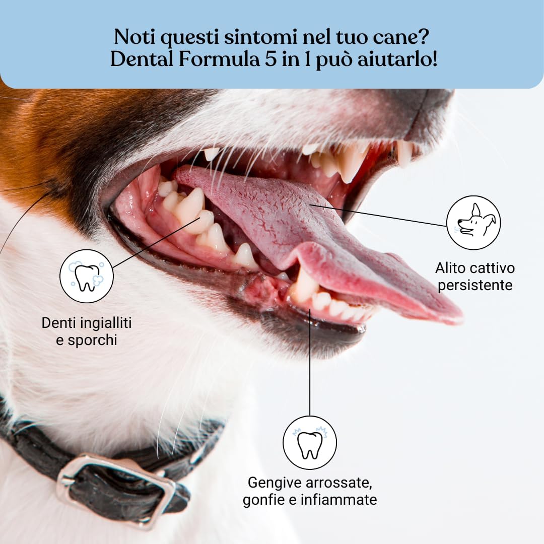 Thumbnail 1 de Bau Dental Formula 5 in 1 per Cani: Additivo per Acqua per Igiene Orale Quotidiana