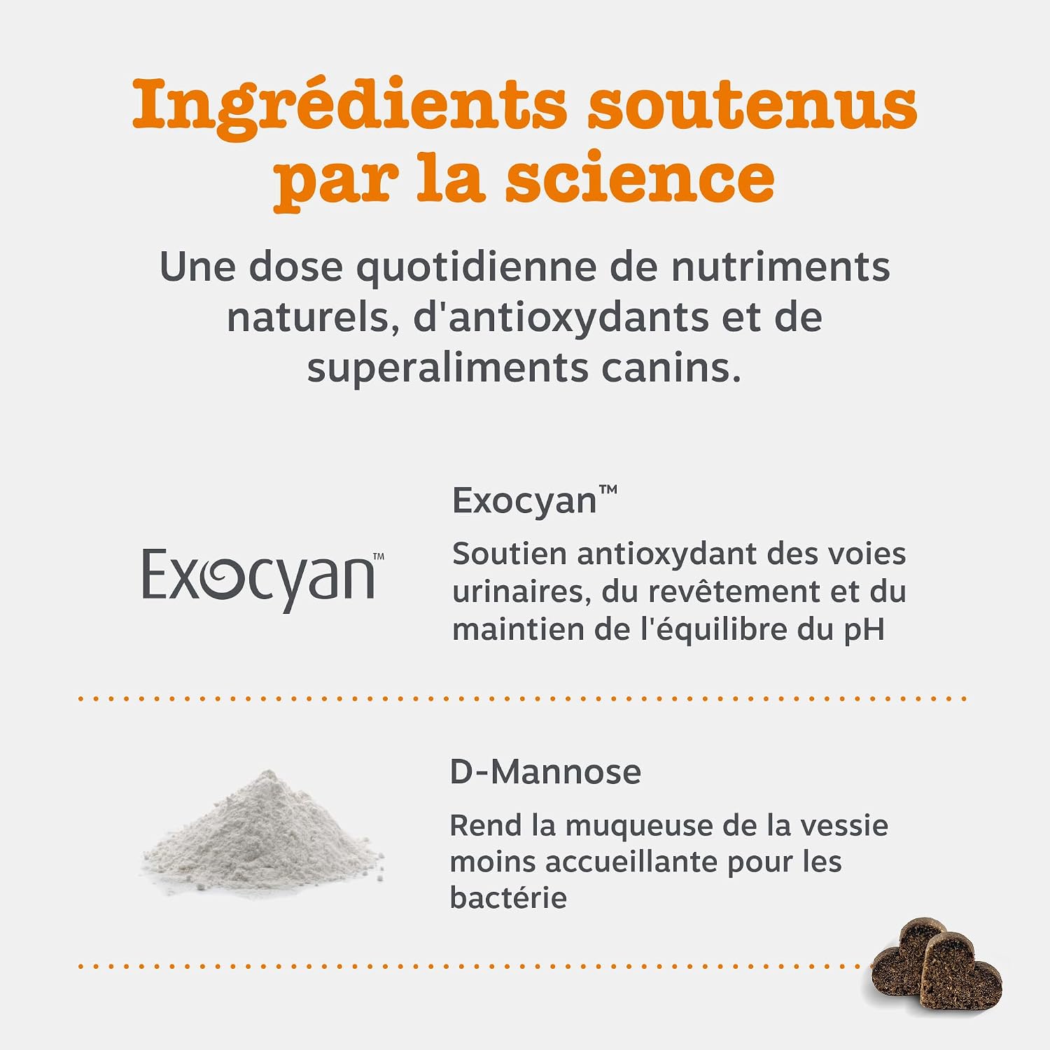 Detalle de Zesty Paws Urinary Care à la Cranberry – Friandises complètes pour la santé des voies urinaires chez le chien