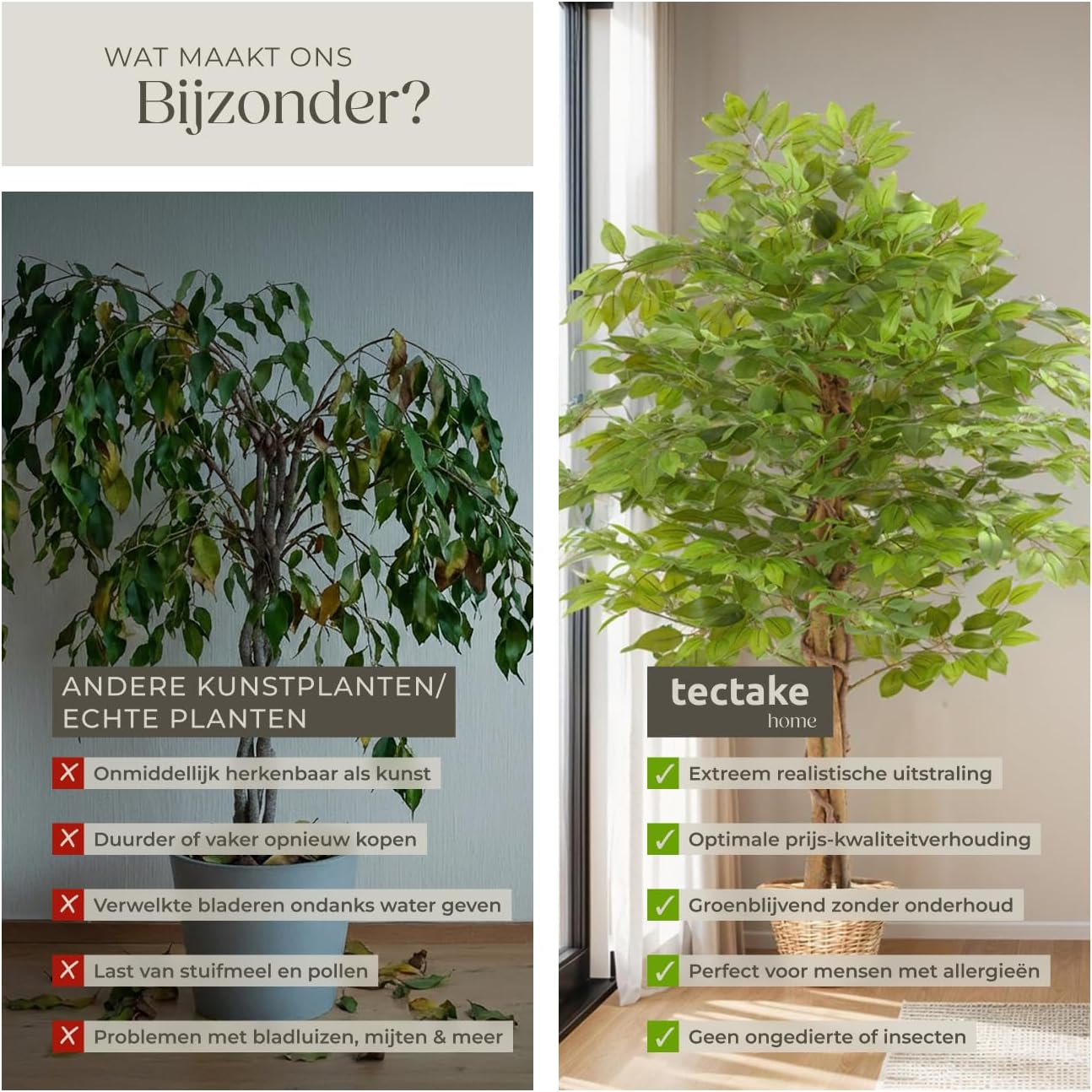 Detalle 1 de tectake Ficus Fida 405610 kunstficus van 160 cm met volle bladkroon