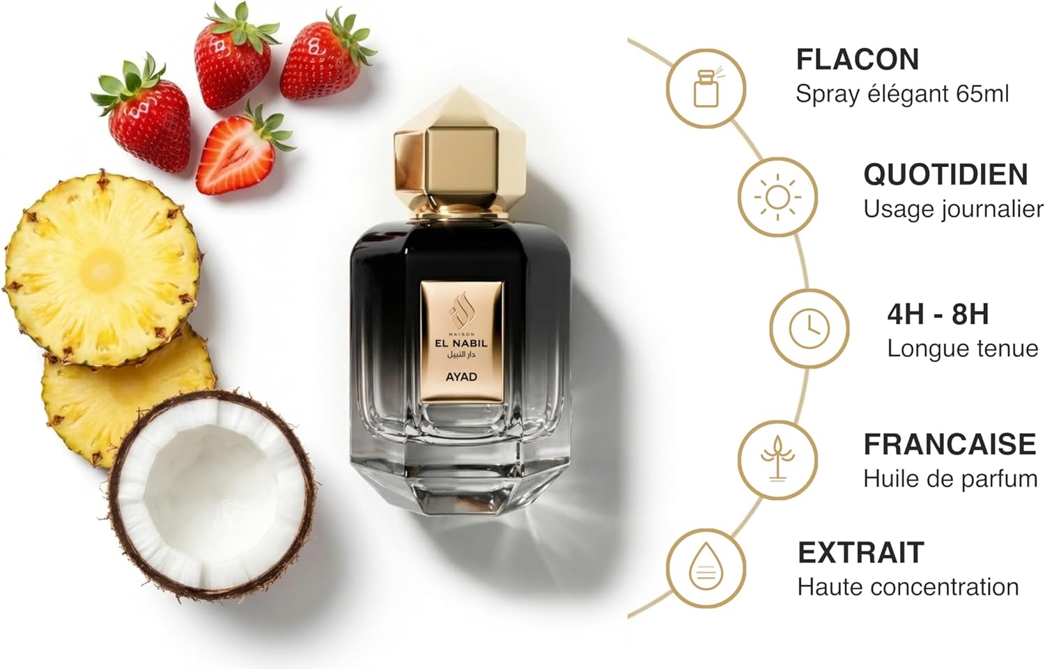 Detalle de AYAD – Eau de Parfum Dubai Mixte par Maison El Nabil, 65 ml – Tropical, Musqué et Gourmand