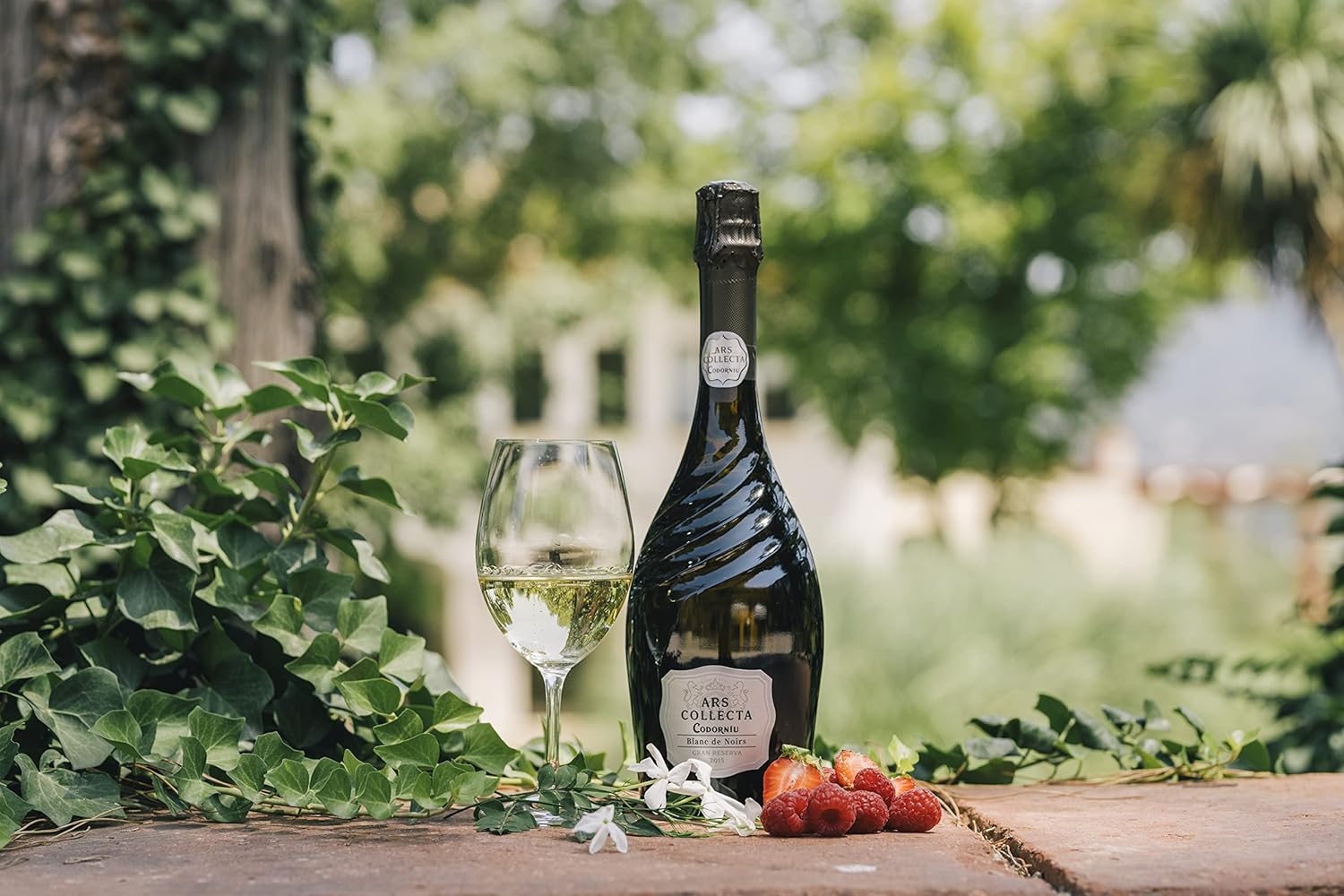 Thumbnail 3 de Codorníu Ars Collecta Blanc de Noirs Cava Gran Reserva 🥂 75cl