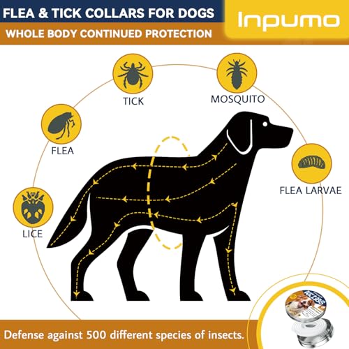 Thumbnail 1 de Inpumo Collar antiparasitario para perros: protección antipulgas y garrapatas hasta 10 meses, impermeable y ajustable