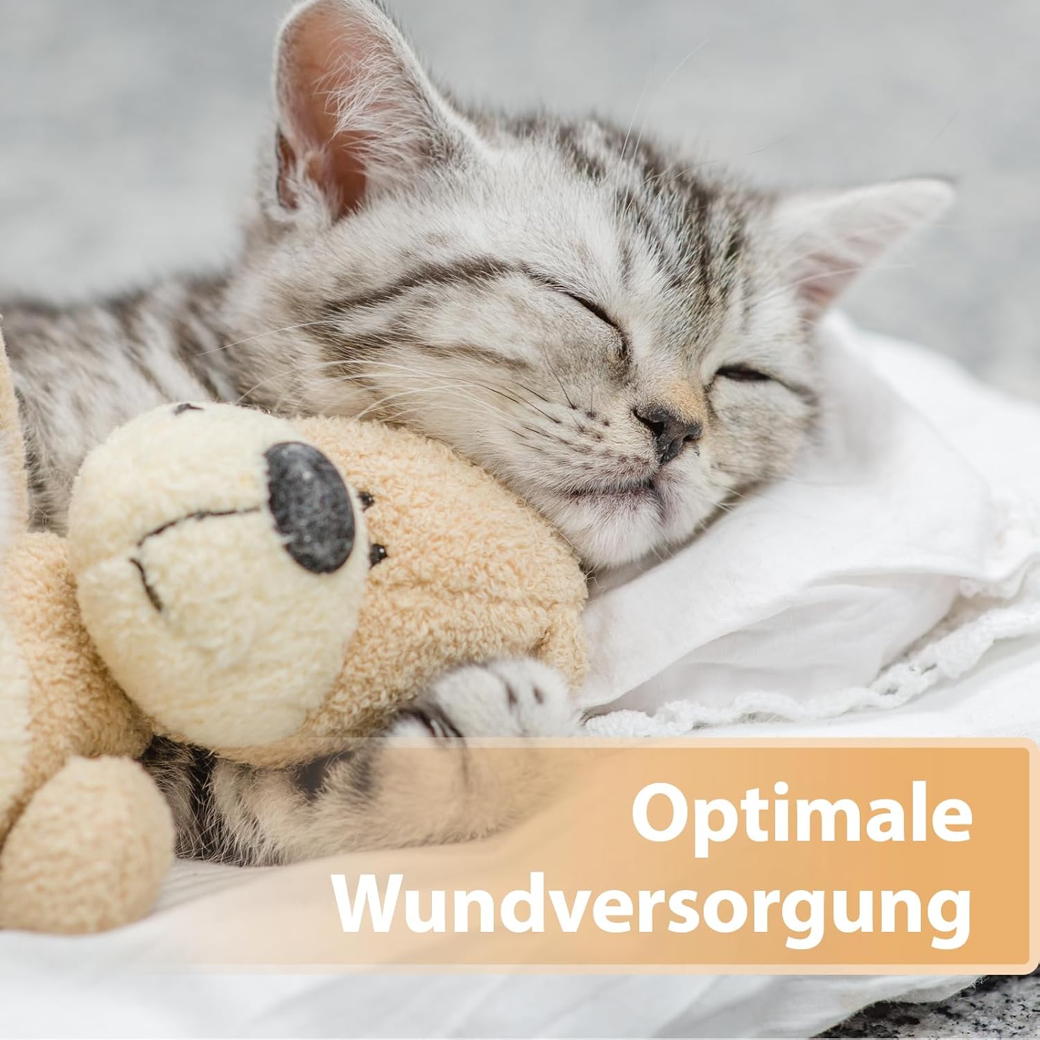 Detalle de Felisept Wundspray für Katzen 75 ml – schonende Wundpflege ohne Schmerz