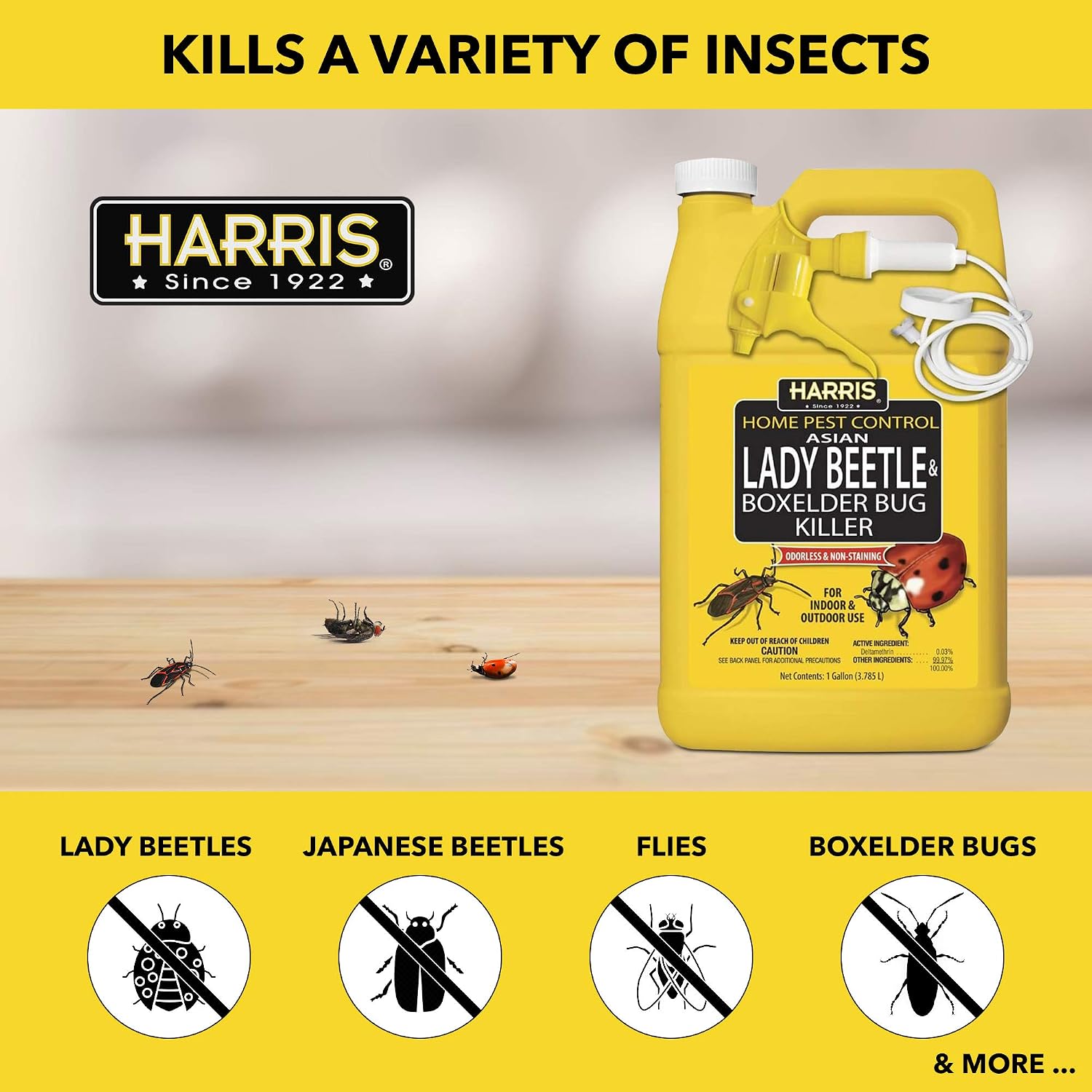Detalle 2 de HARRIS HBXA-128 Asian Lady Beetle & Box Elder Killer Spray, 1 Gallon