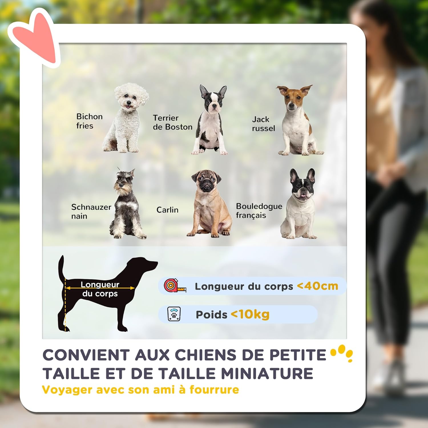 Thumbnail 3 de PawHut poussette buggy pliable pour chien (porte-gobelets, roues frein 360°) – gris