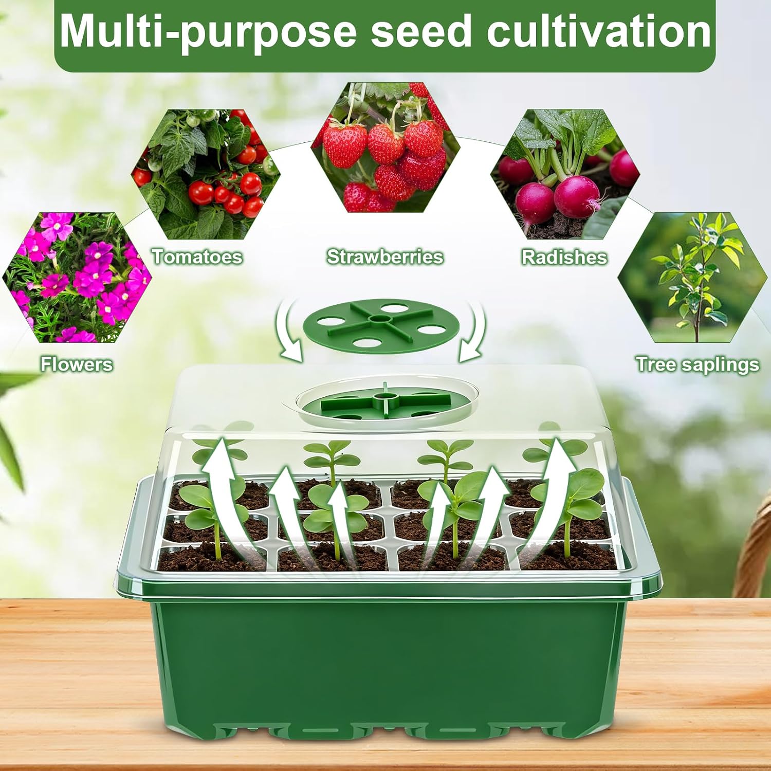 Thumbnail 6 de Lychee Seed Trays, 10 Pack 120 Cells Propagator with Lidded/Rotatable Vent Design for Greenhouse & Gardens