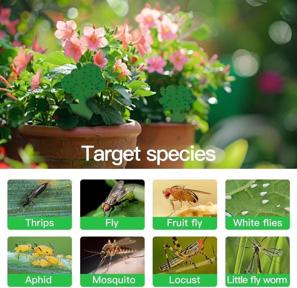 Detalle 1 de Cleanuper 58 green Gnat Sticky Traps, 58-Pack, Green Double-Sided Cards