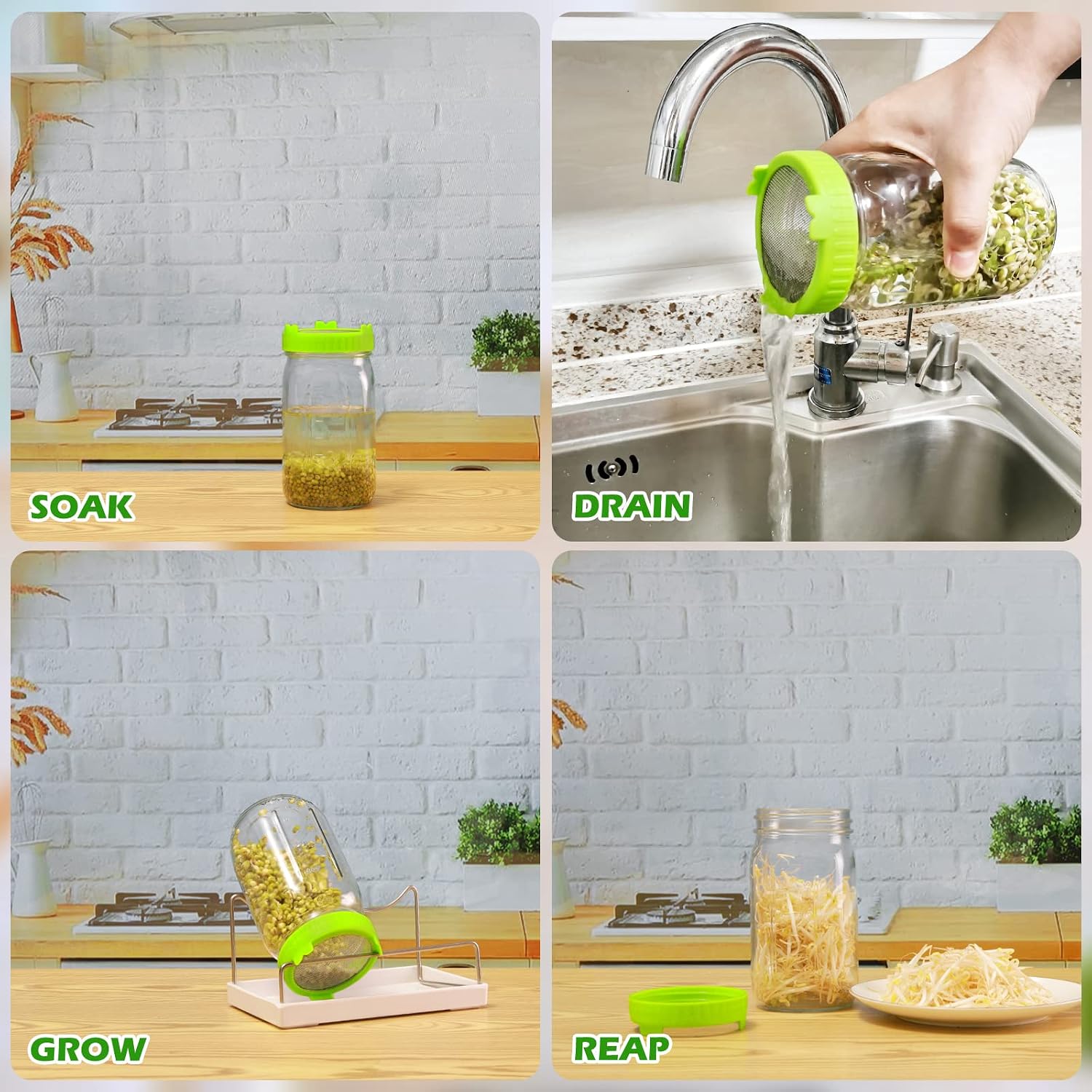 Detalle 2 de Kitmiido Sprouting Kit for Seeds, 2 Wide-Mouth Jars, Mesh Lids & Sleeves