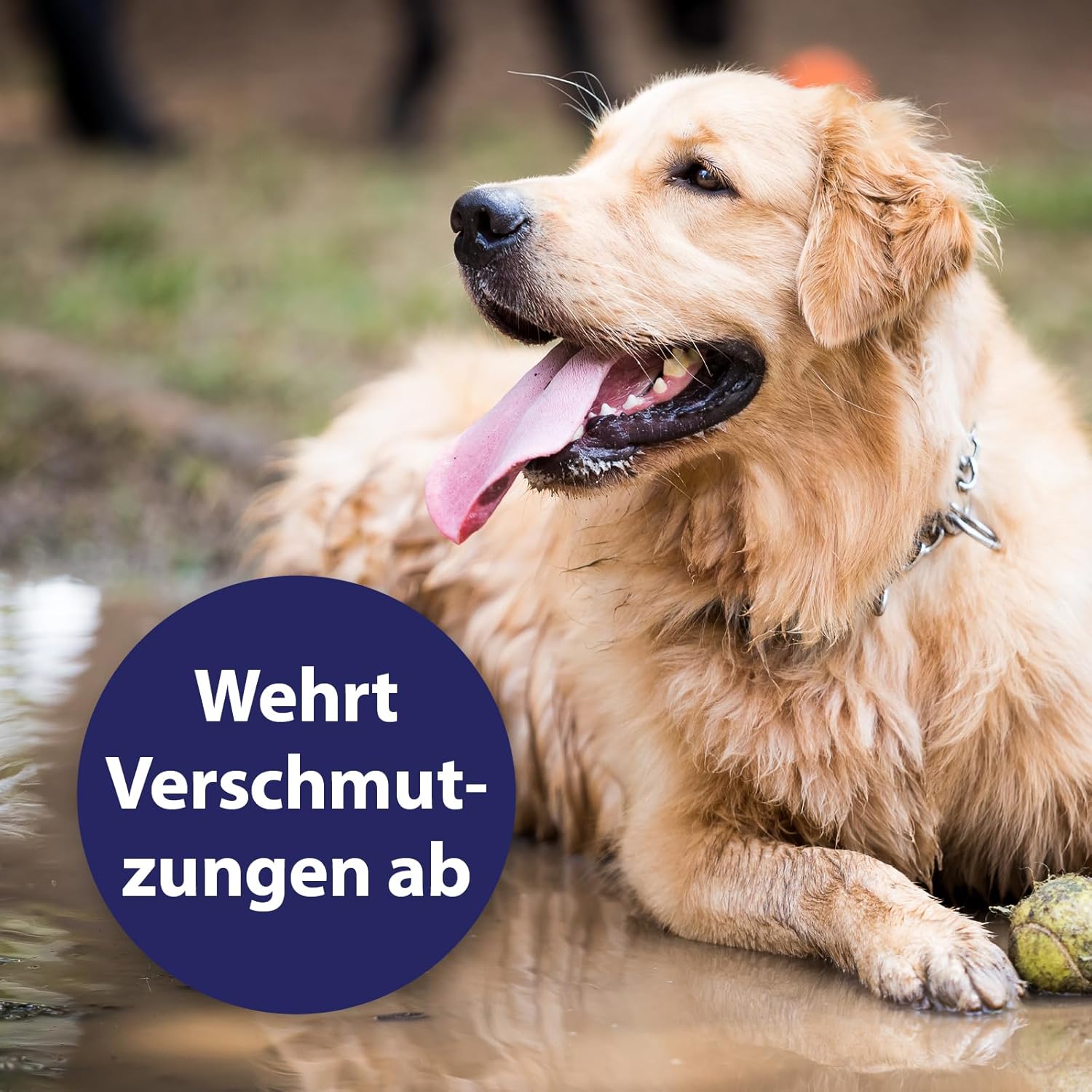 Detalle de Canosept Fellpflegespray – Nie wieder Knoten beim Hund