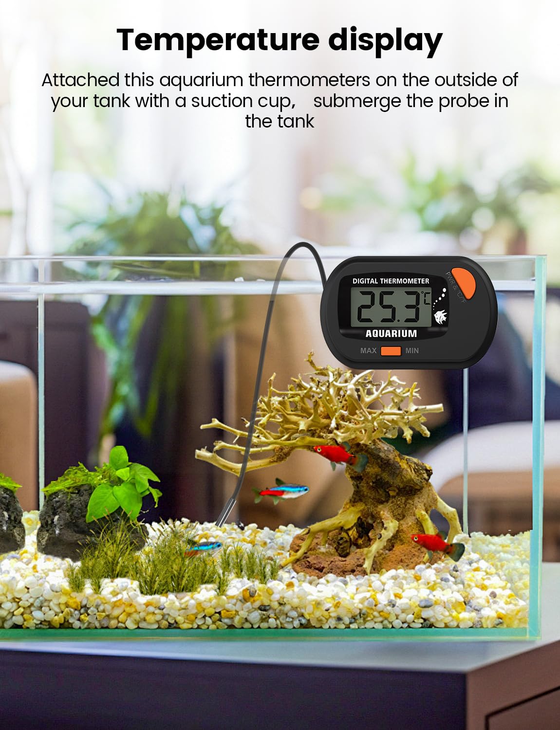 Detalle 2 de Aquarium Thermometer mit Sonde und Saugnapf