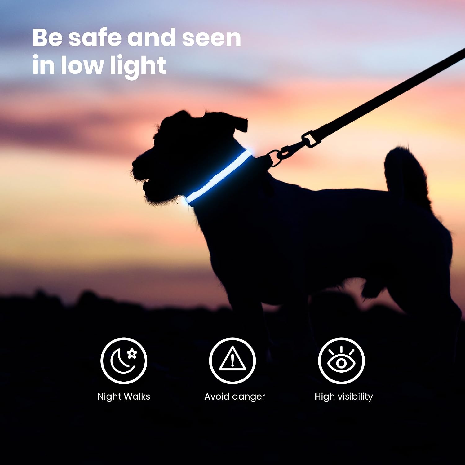 Detalle de Fun Pets LED Dog Collar 50–60cm