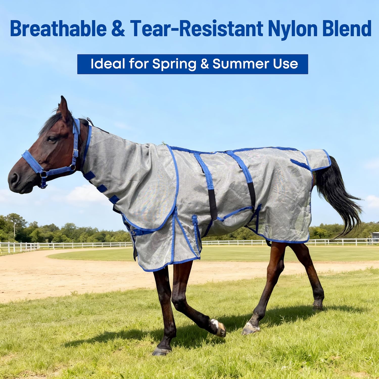 Detalle de Horse Blanket 72 in