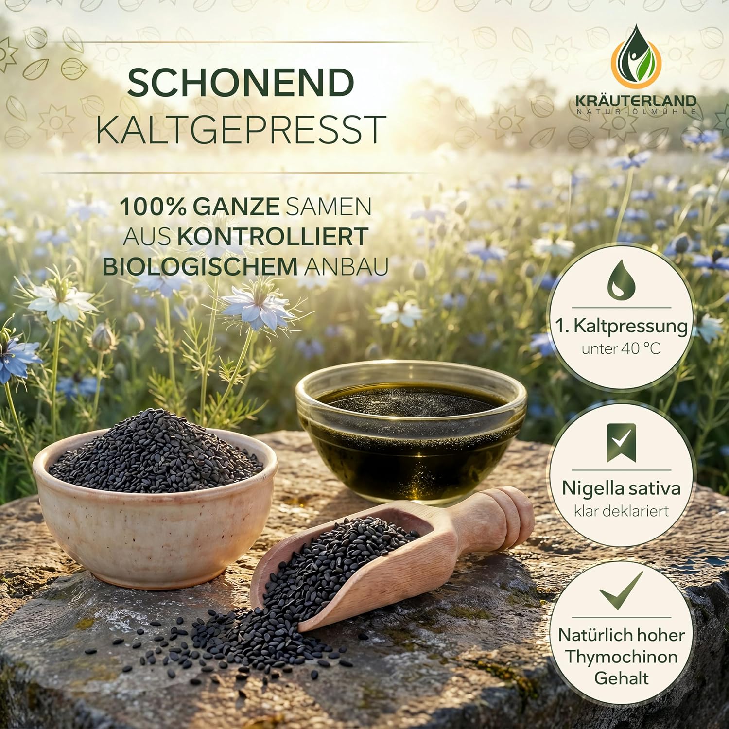 Thumbnail 3 de Kräuterland Schwarzkümmelöl Bio (500 ml) – kaltgepresst, ungefiltert, 1. Pressung