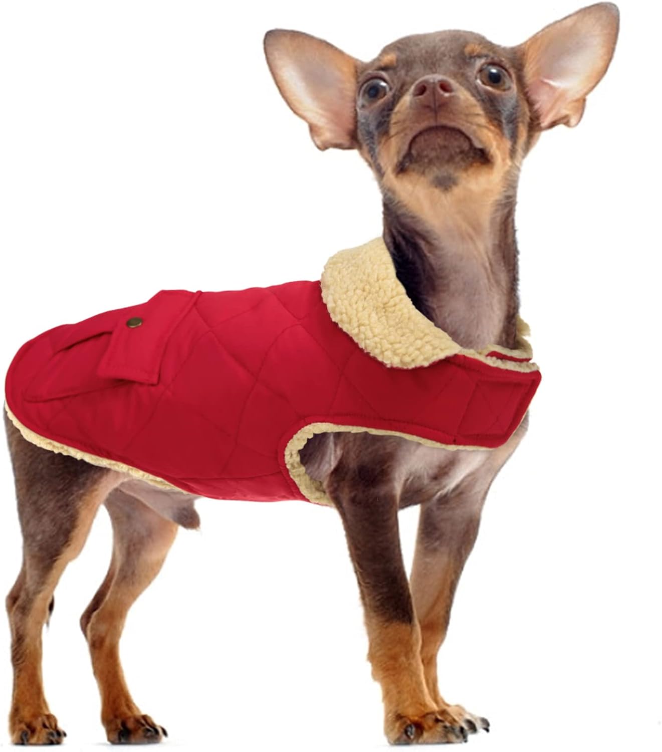 Thumbnail 5 de Queenmore Winter Dog Coat, Medium