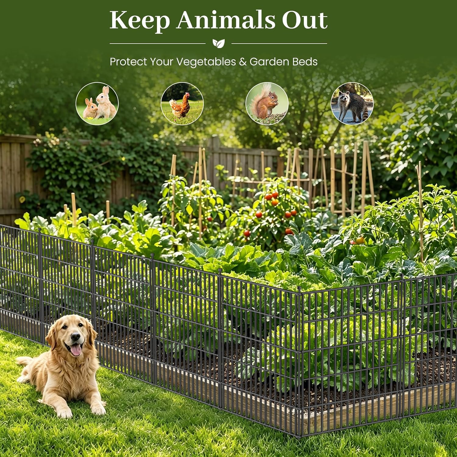 Detalle de No Dig Decorative Garden Fence, Dog Fence Outdoor – 61 cm x 610 cm, 10 Panels