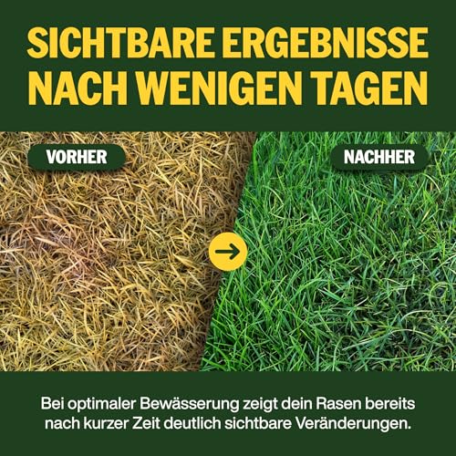 Detalle de SUPERGREEN Herbst- & Kalium-Rasendünger Langzeit bis 100 Tage – 5 kg für 250 m², NPK 5-10-22, nitratfrei